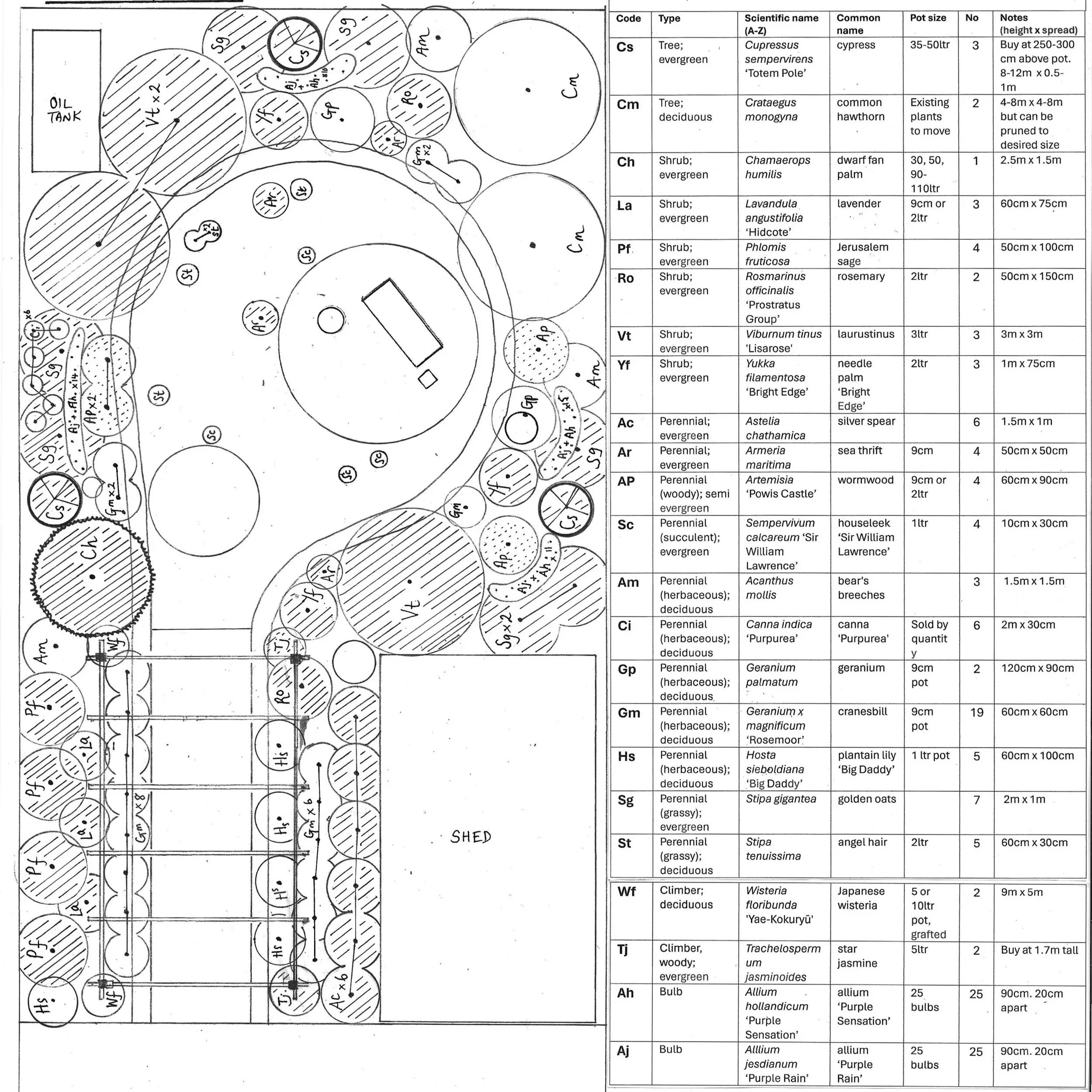 Planting plan and schedule detailing genus and species, and quantities to order of plants. Details evergreen and deciduous plants visually.