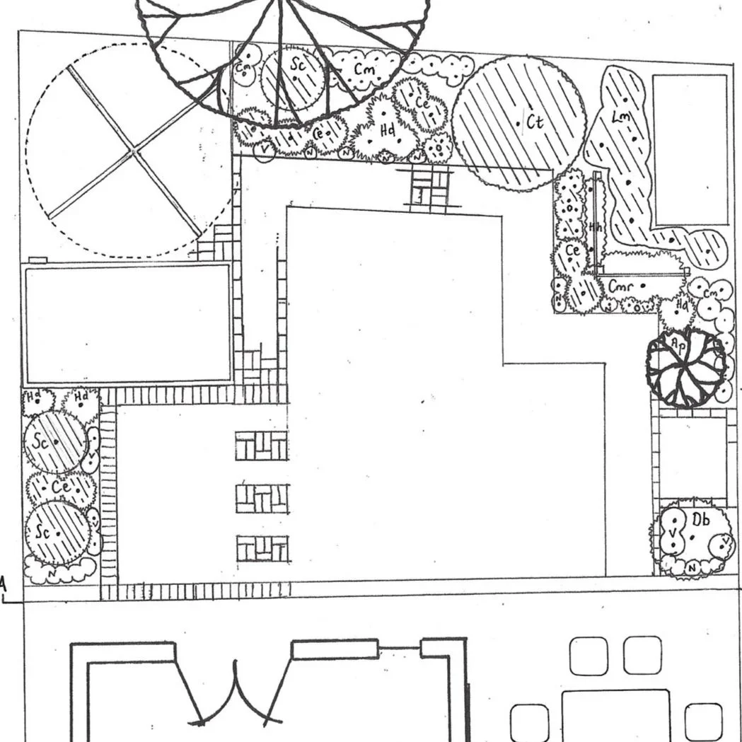 Planting plan showing evergreen and deciduous planting balance and identifying plants.