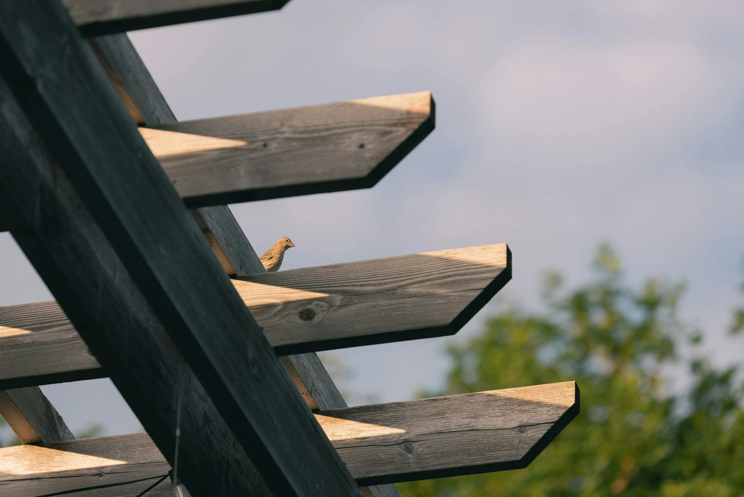 unsplash-image-Og7ugo4cgGY.jpg