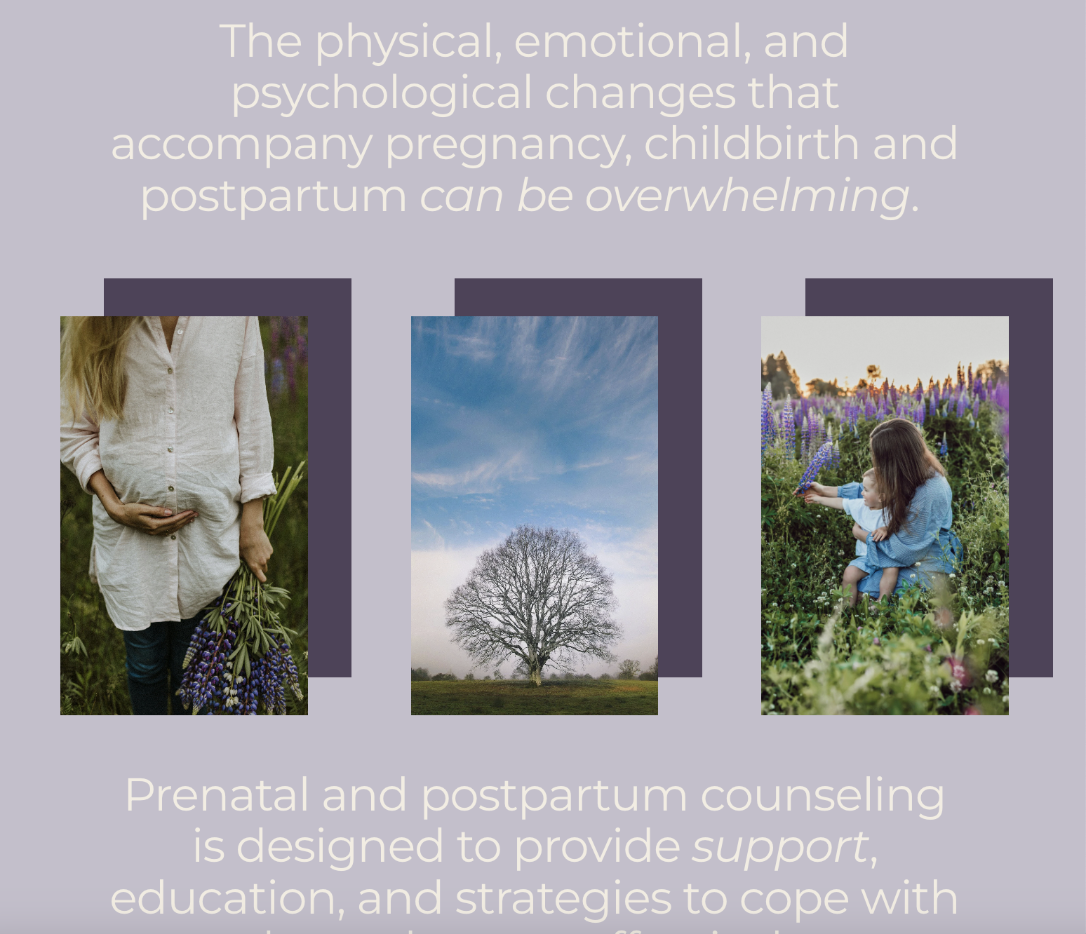 Screenshot 2026-02-02 at 4.46.54 PM.png