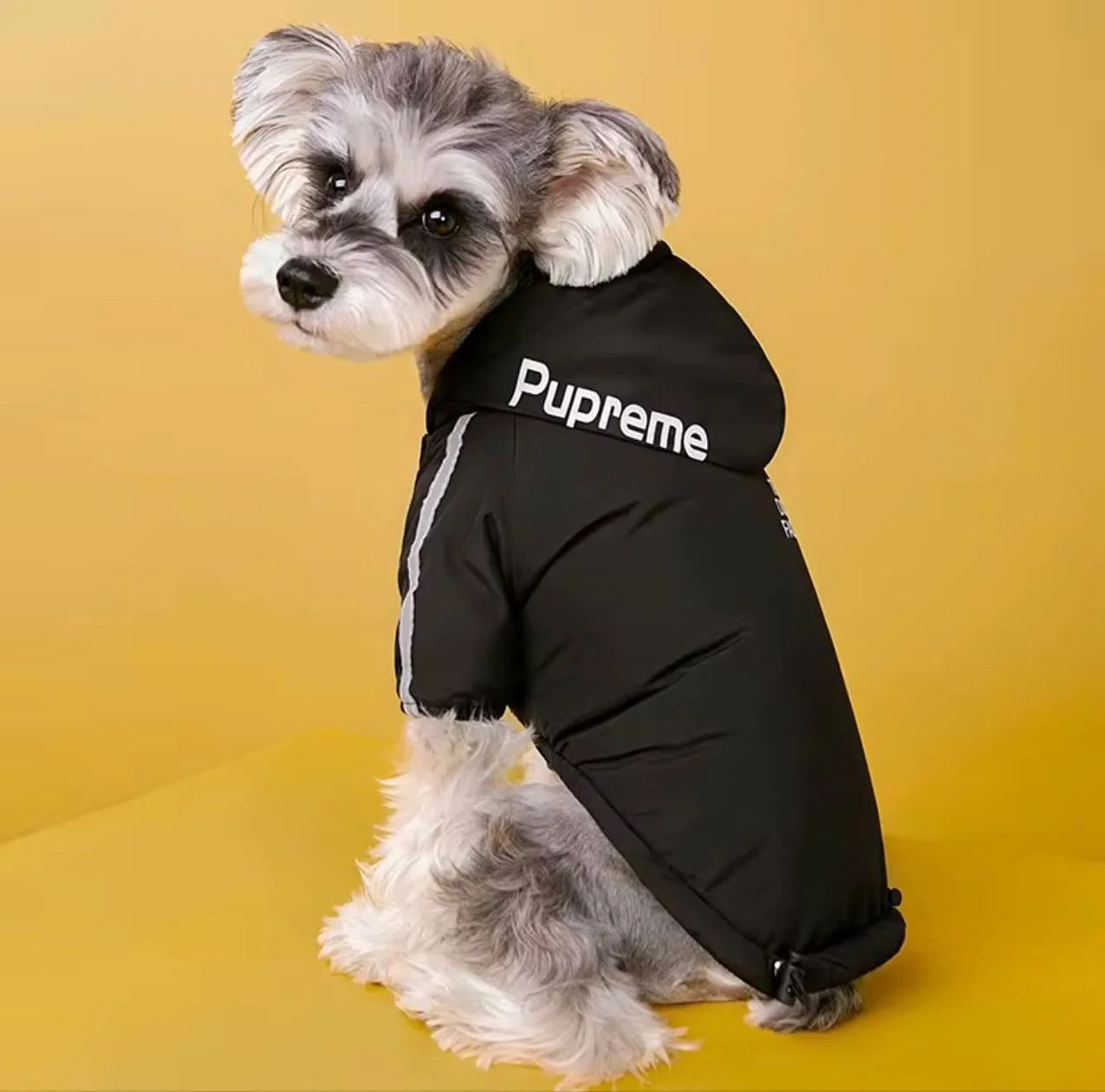 Winter is coming! ❄️🐾

Keep your pups warm, cosy, and stylish this season with our adorable winter coats &mdash; perfect for small to medium-sized dogs! From chilly walks to frosty adventures, we&rsquo;ve got the perfect fit to keep those tails wagg