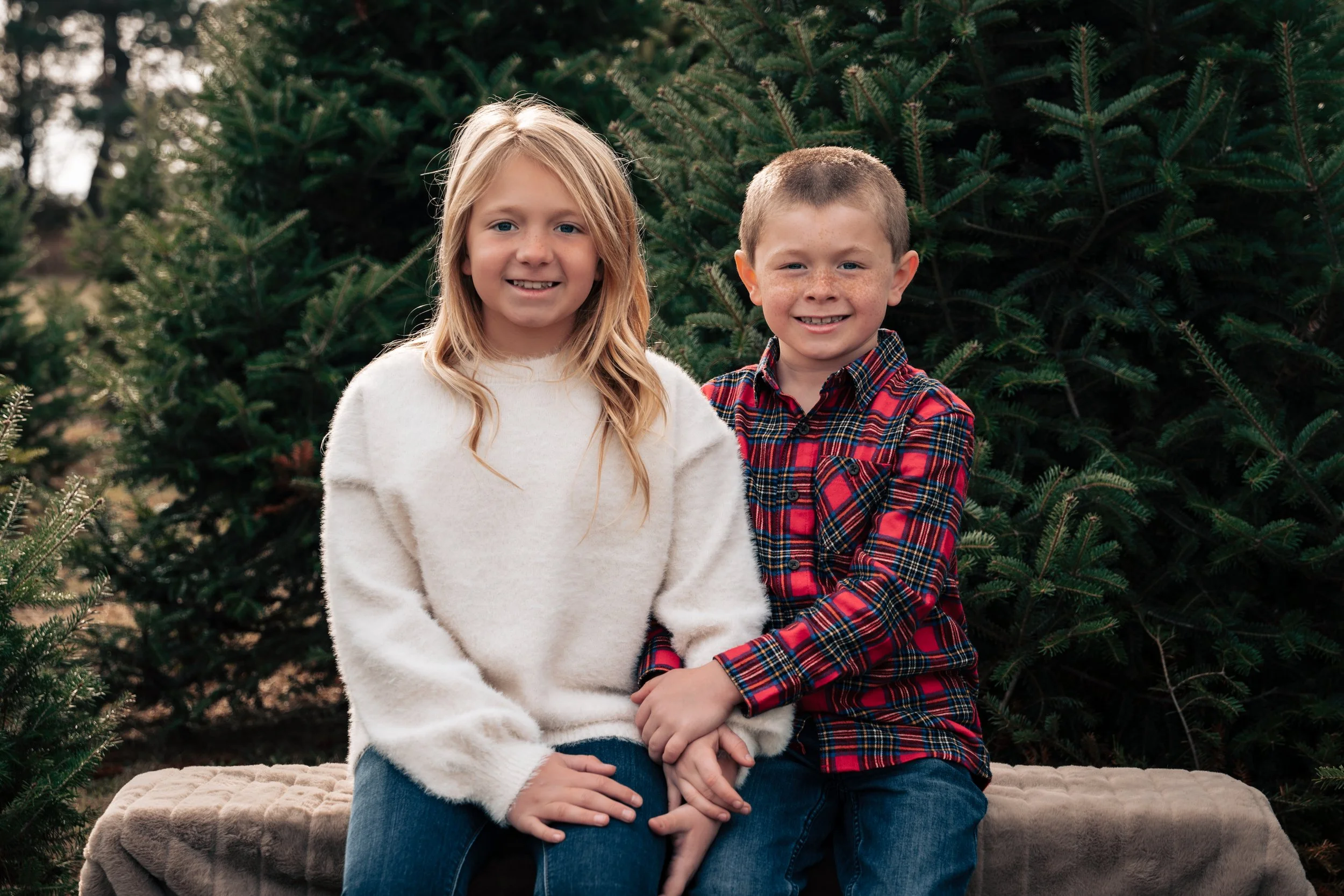 Ellis-Christmas-Tree-Farm-07.jpg