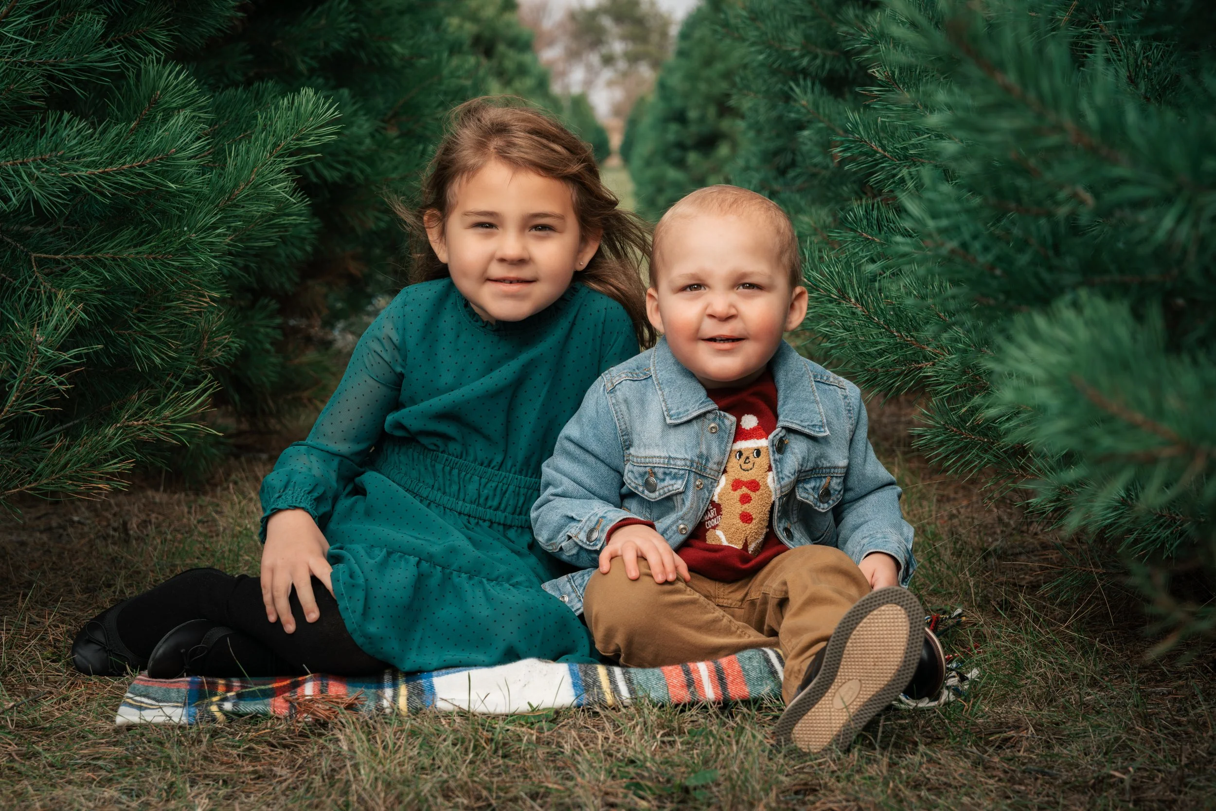 Hughes-Christmas-Tree-30.jpg