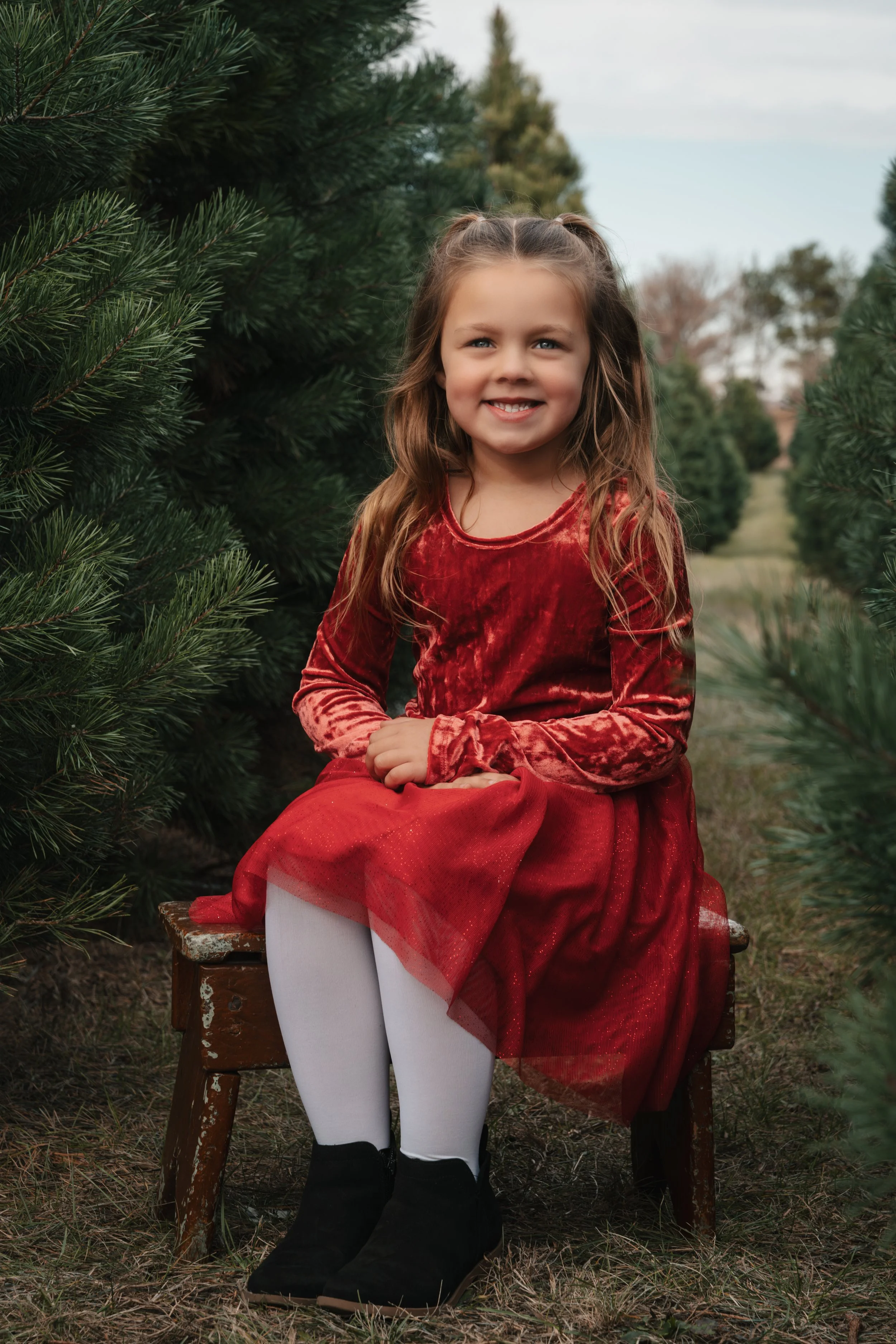 Lindsey-Christmas-Tree-Farm-19.jpg