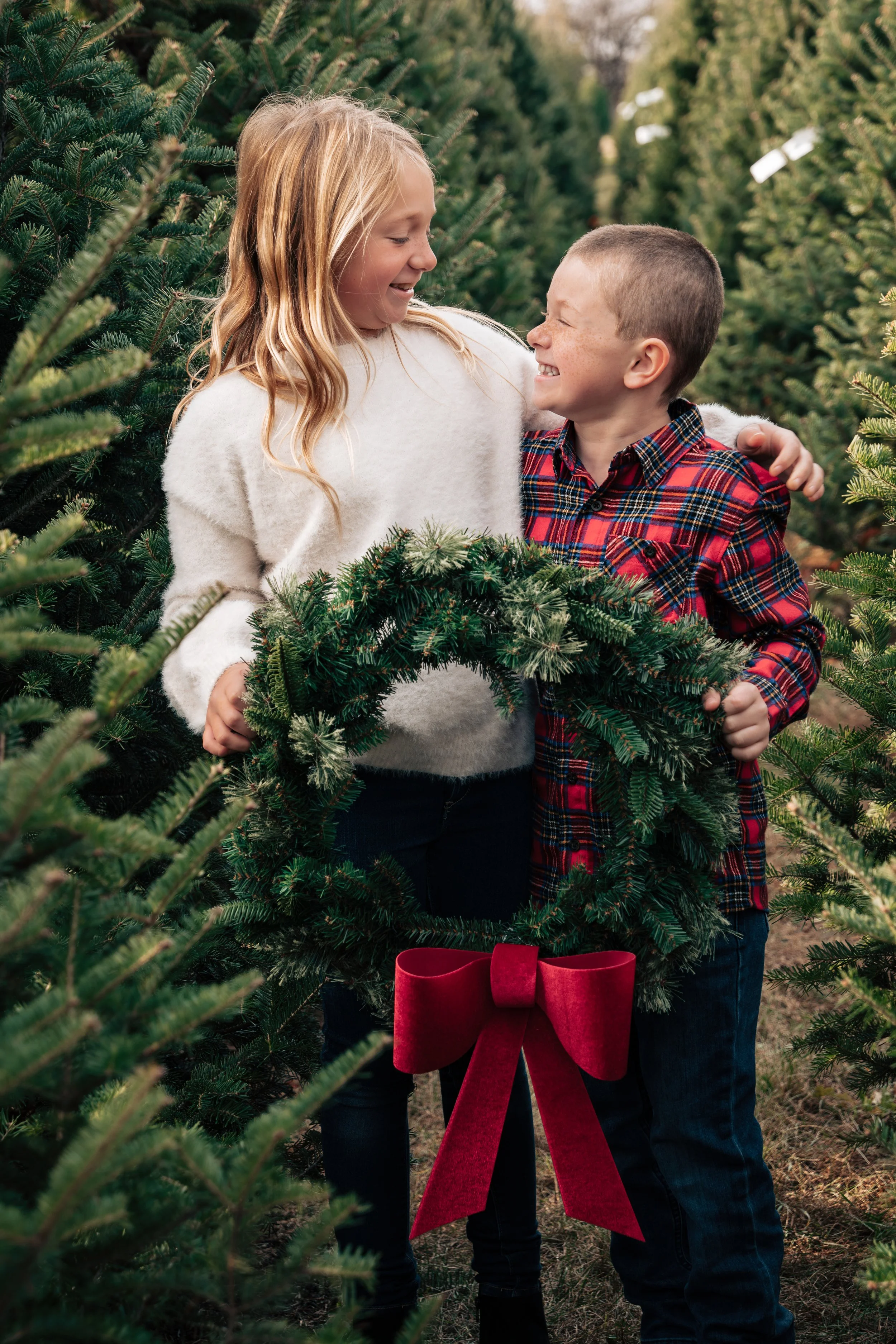 Ellis-Christmas-Tree-Farm-10.jpg