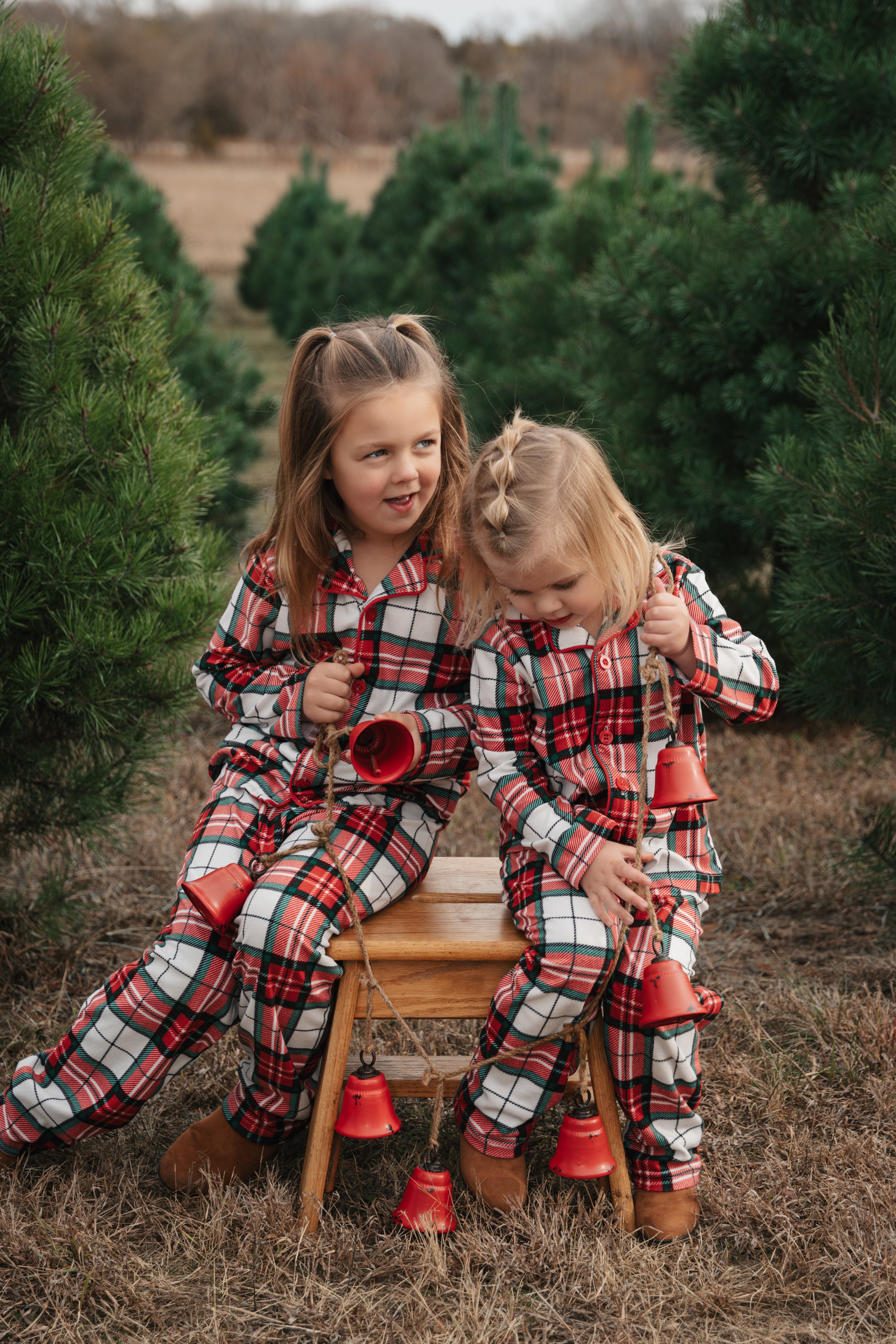 Lindsey-Christmas-Tree-Farm-14.jpg