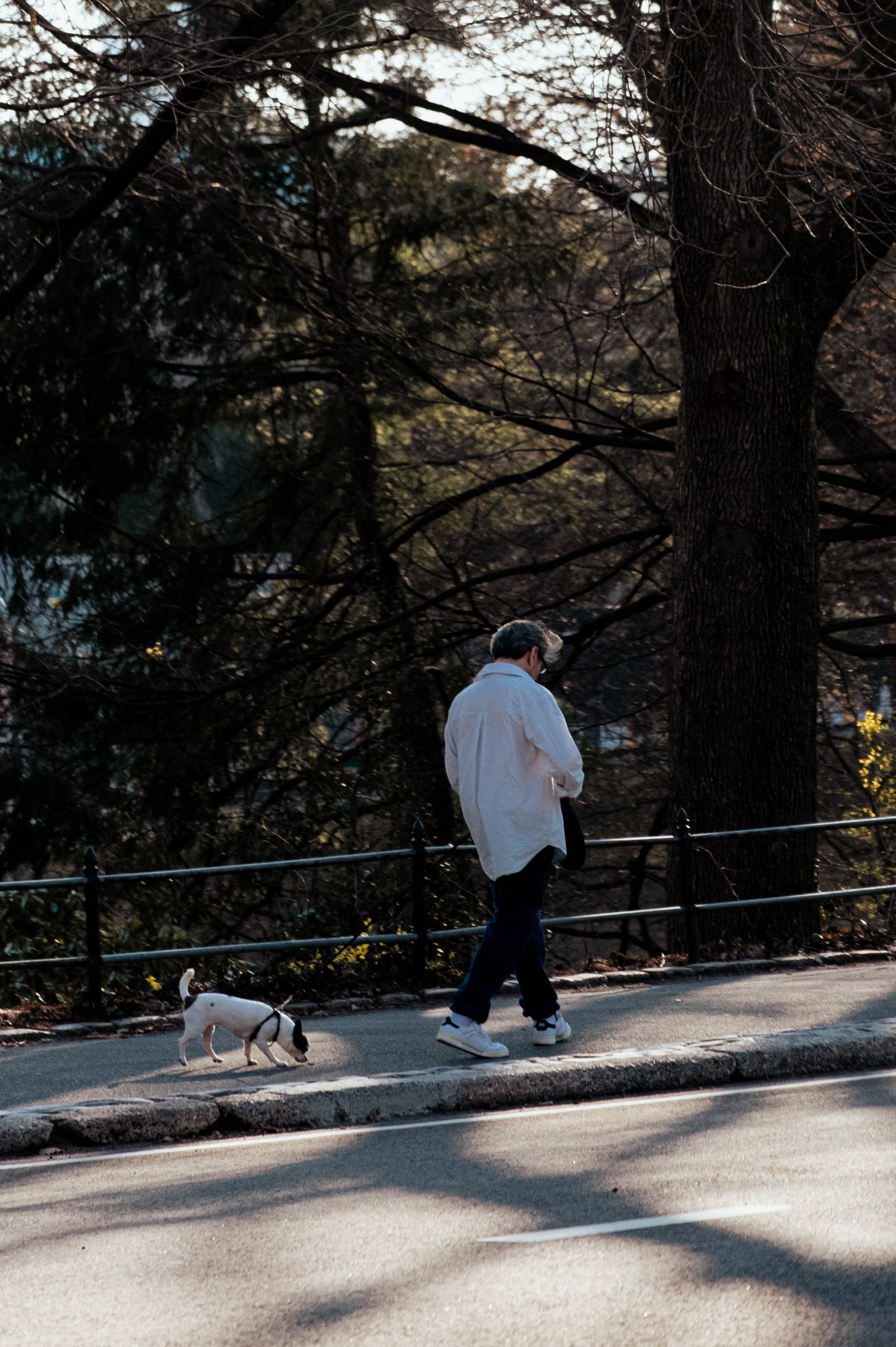 DSCF1563.jpg