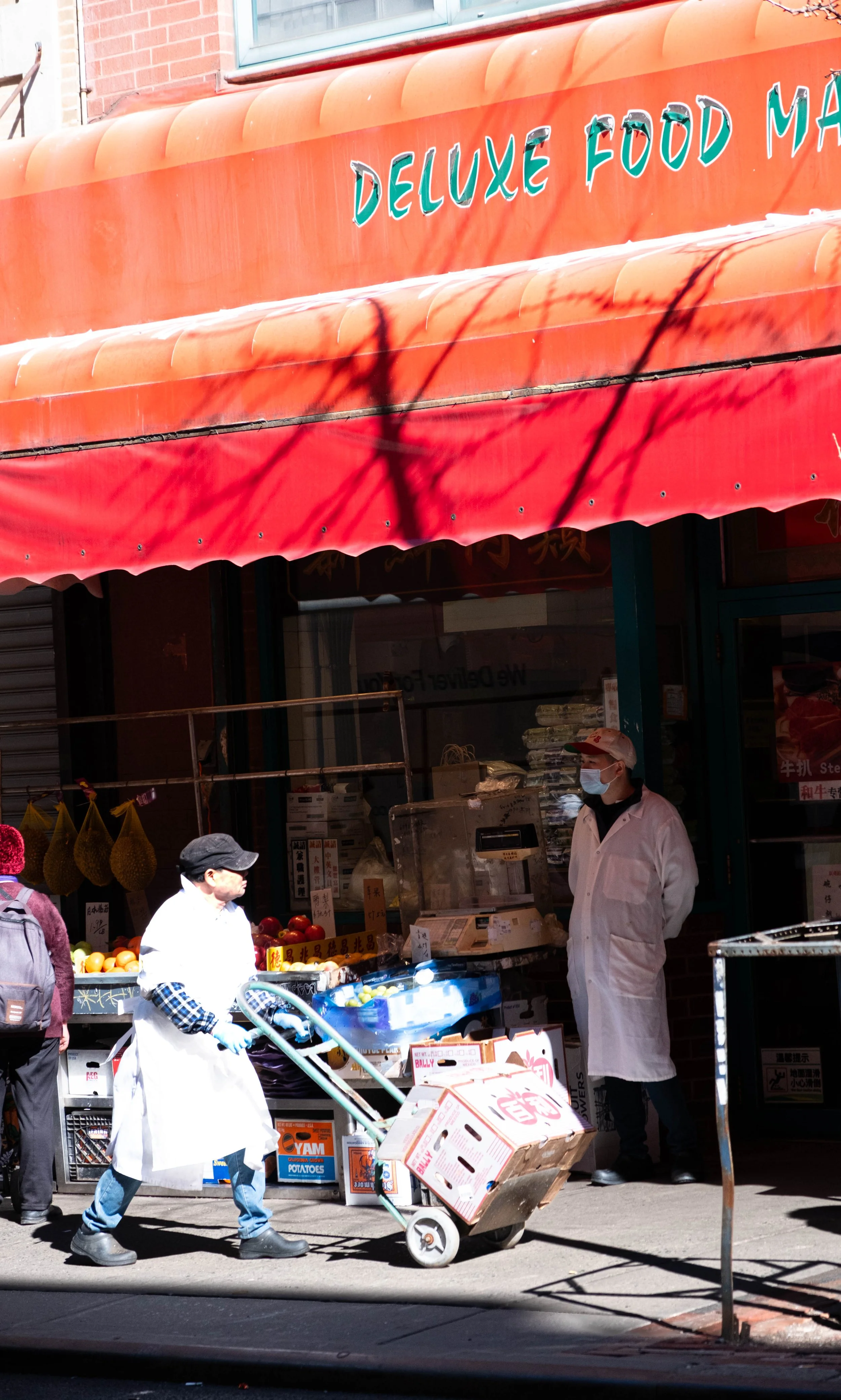 DSCF1456.jpg