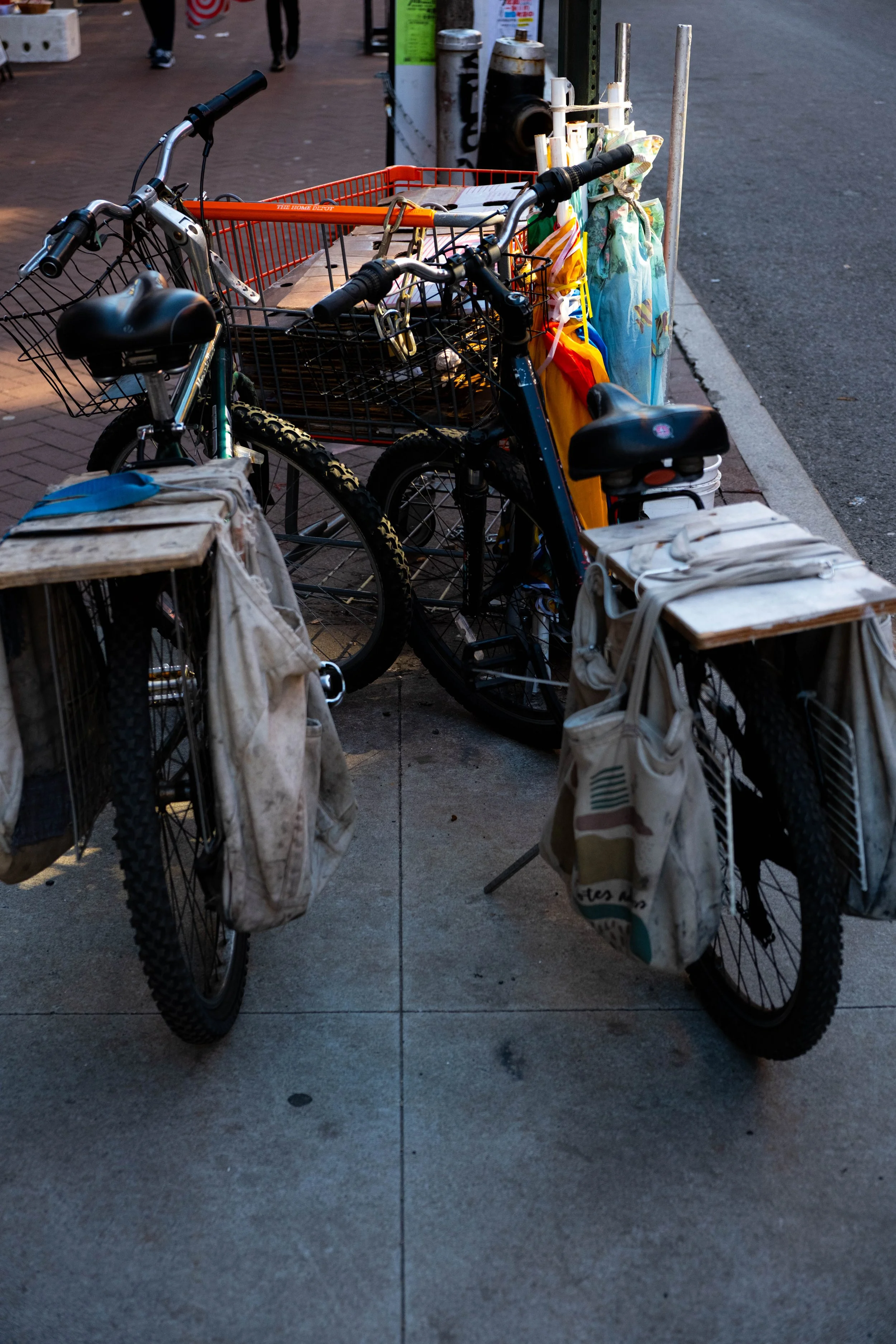 DSCF1438.jpg
