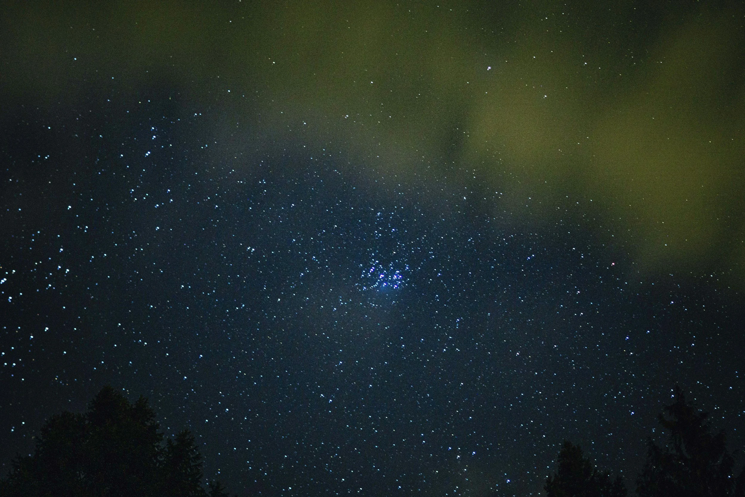 your instincts are your sword