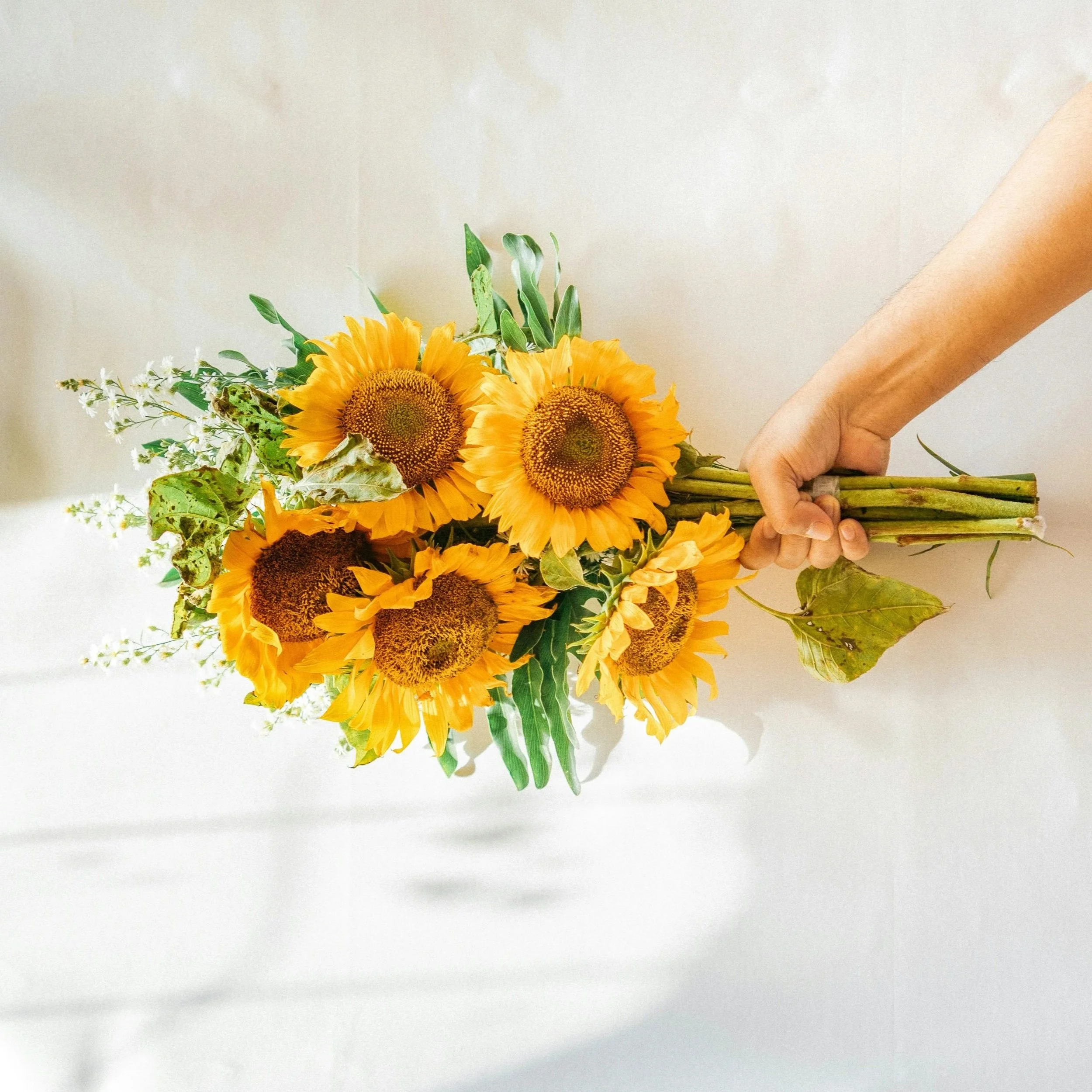 a week of wild card opportunities