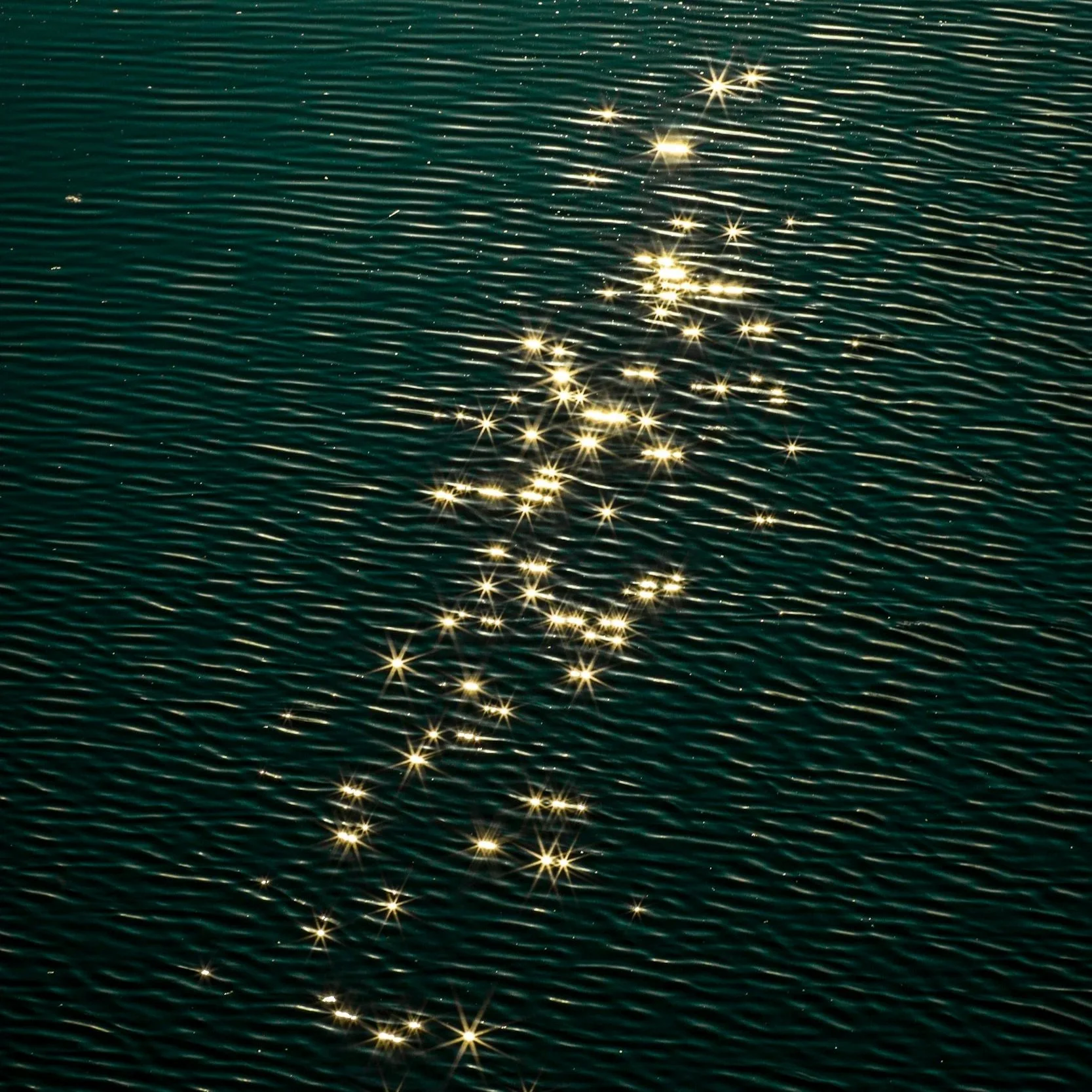 stop pushing back — weekly tarot reading 23 Feb–1 March 2026 