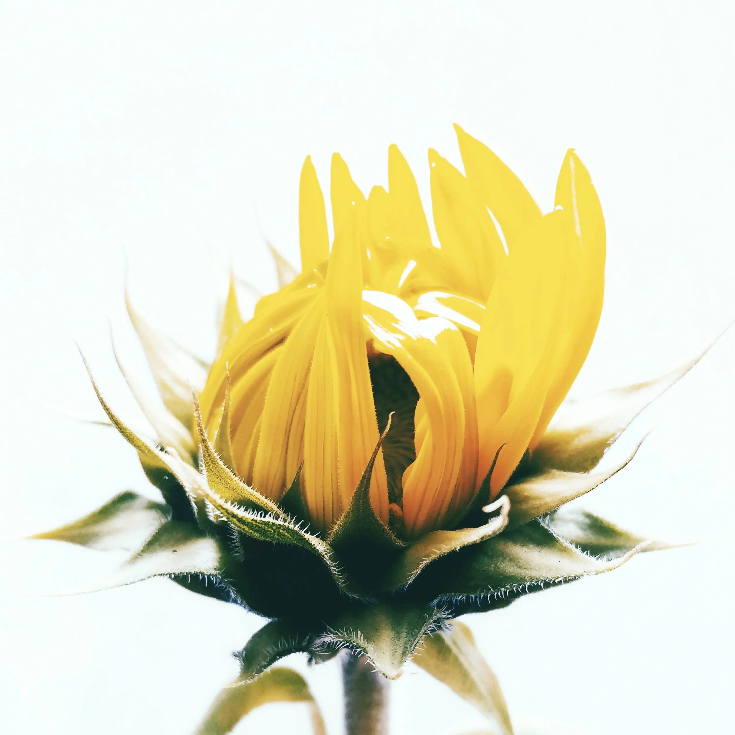 you’re becoming unmistakeably you