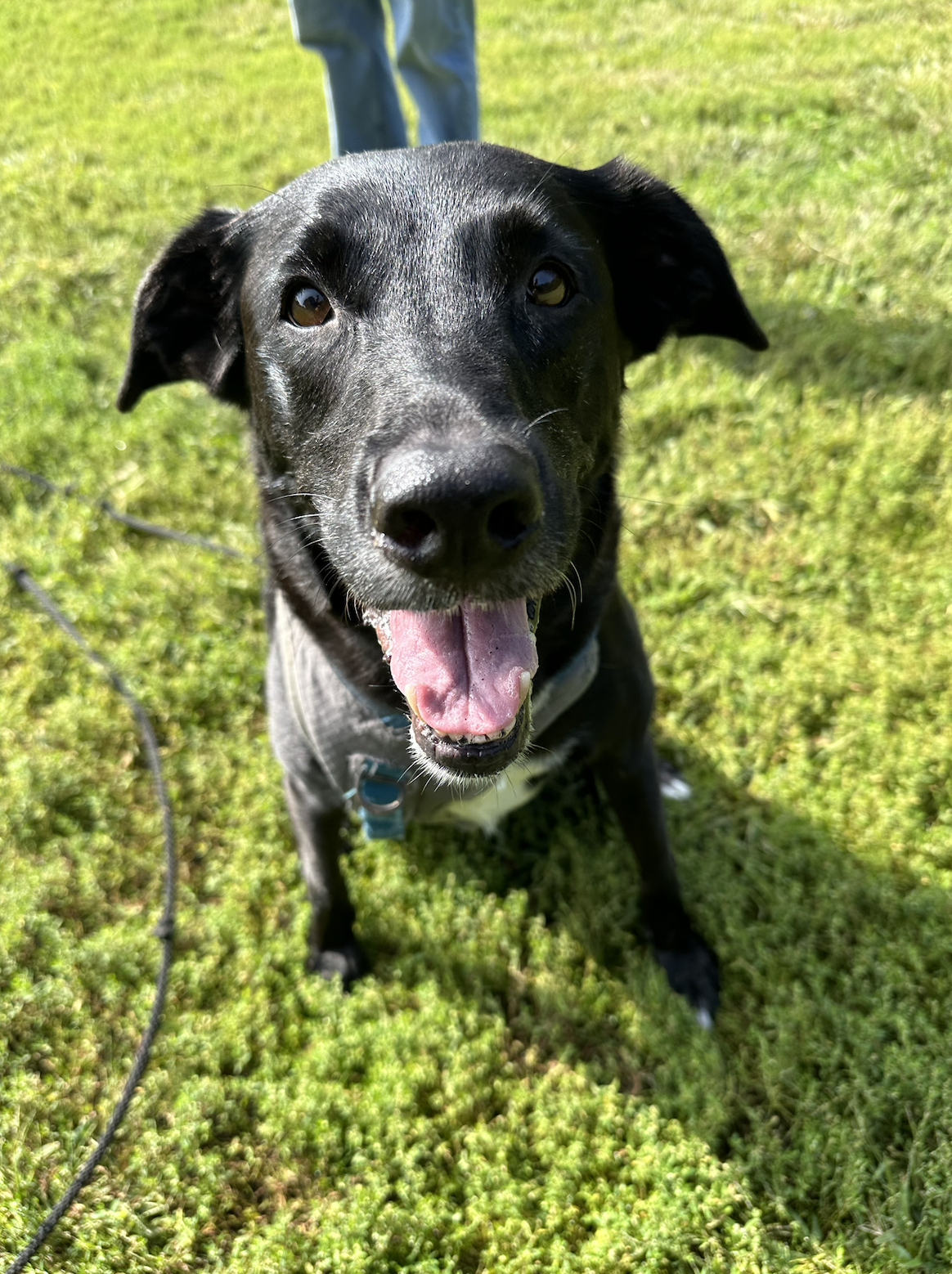 Screenshot 2024-09-23 at 7.42.01 PM.png