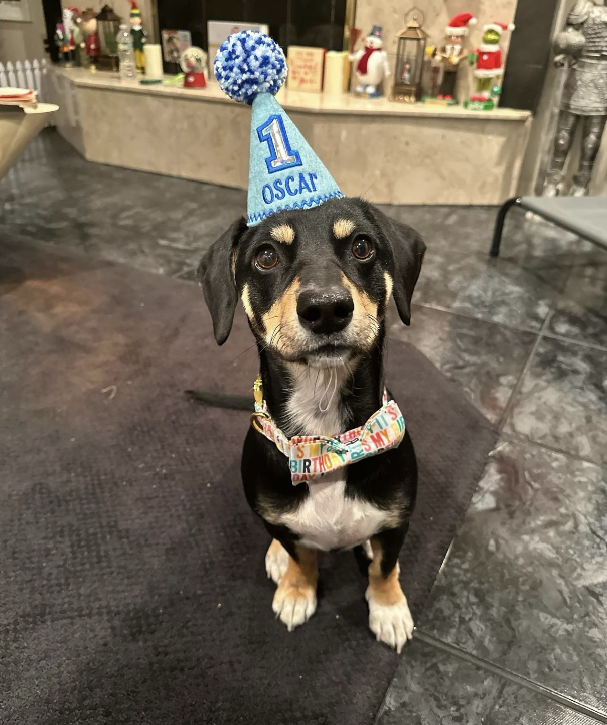 Screenshot 2024-09-23 at 7.40.13 PM.png