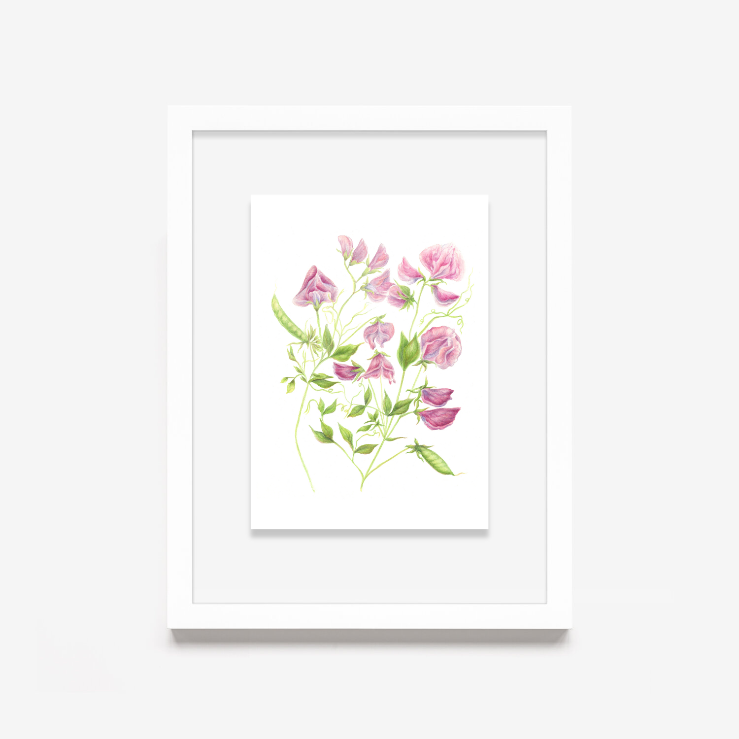 Sweet peas white frame.png