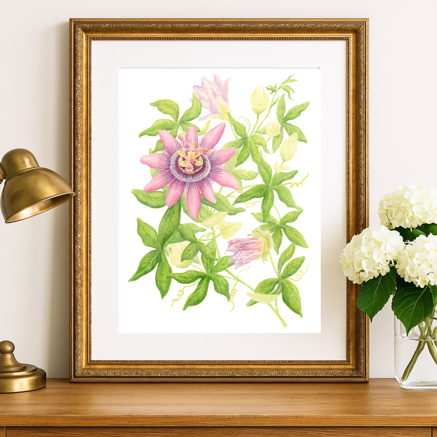 Pink passiflora framed.png