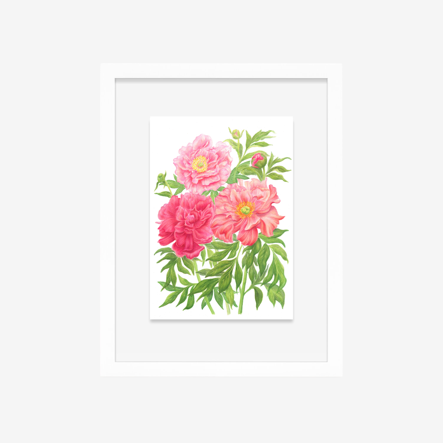 Peony Trio in white frame.png