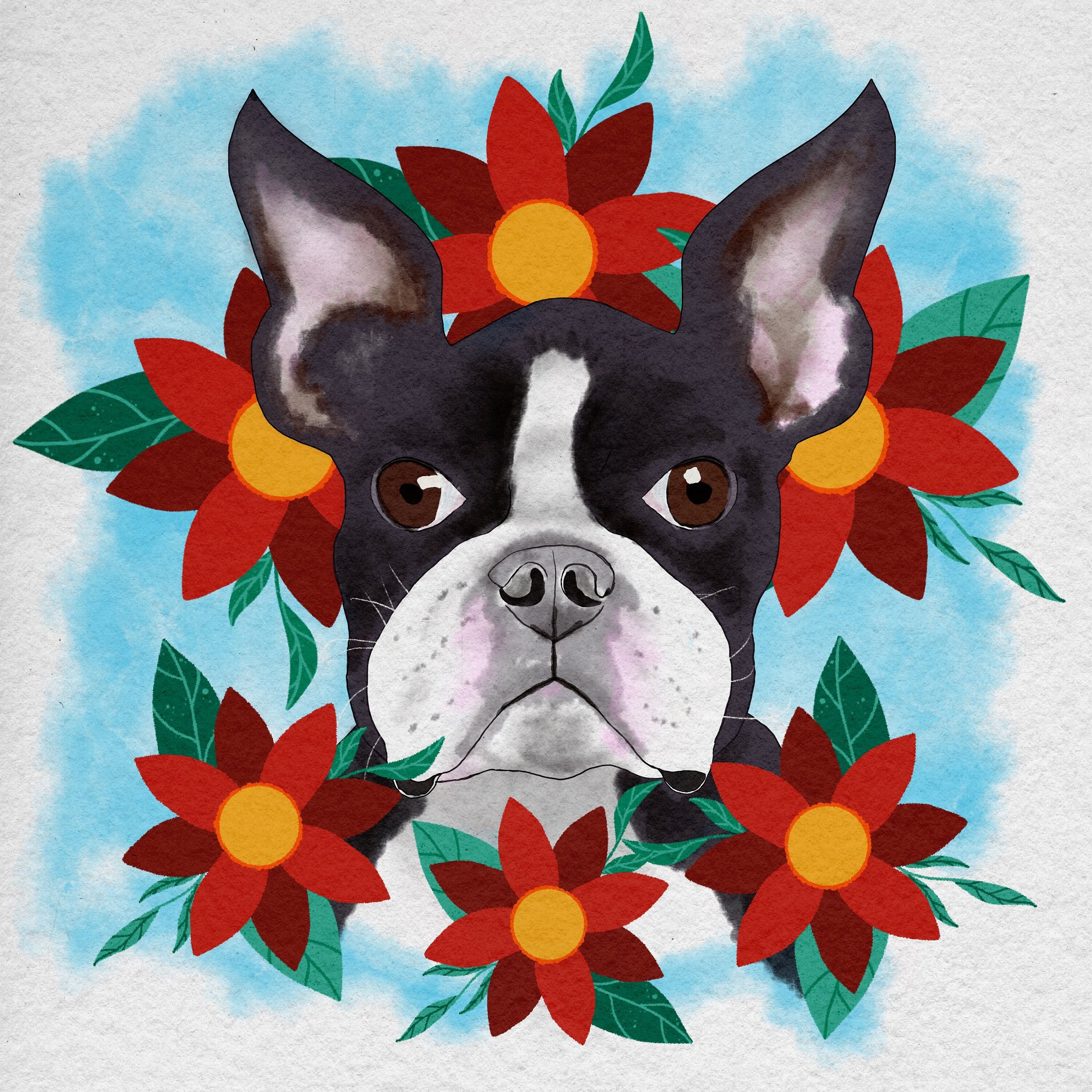 https://i.etsystatic.com/54806611/r/il/5b5b38/6295683954/il_fullxfull.6295683954_ga7n.jpg