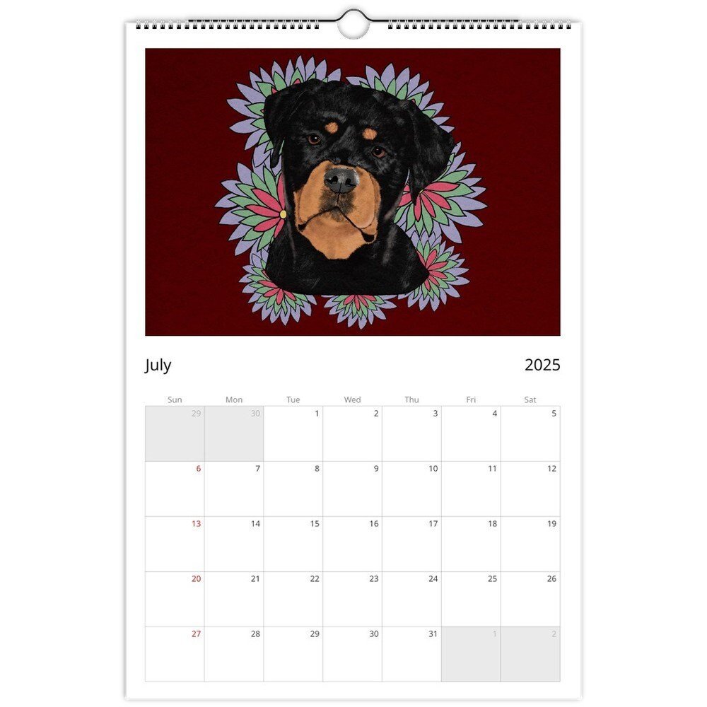 https://i.etsystatic.com/54806611/r/il/47d489/6338866429/il_fullxfull.6338866429_fn2a.jpg