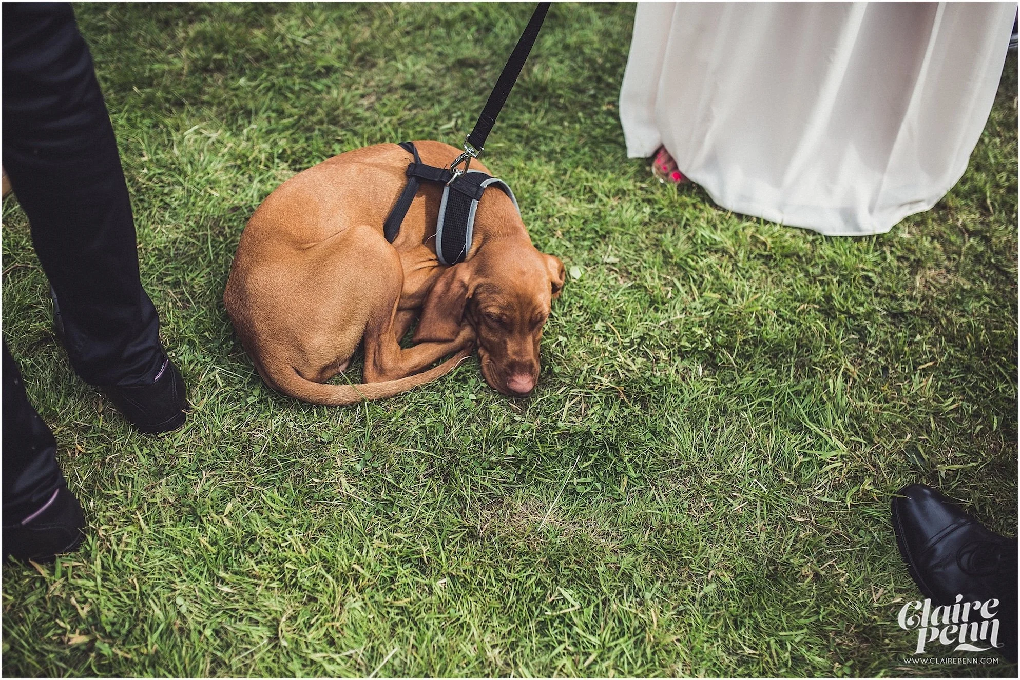 Tipi+festival+wedding+High+Billinghurst+Farm+Surrey_0050.jpg
