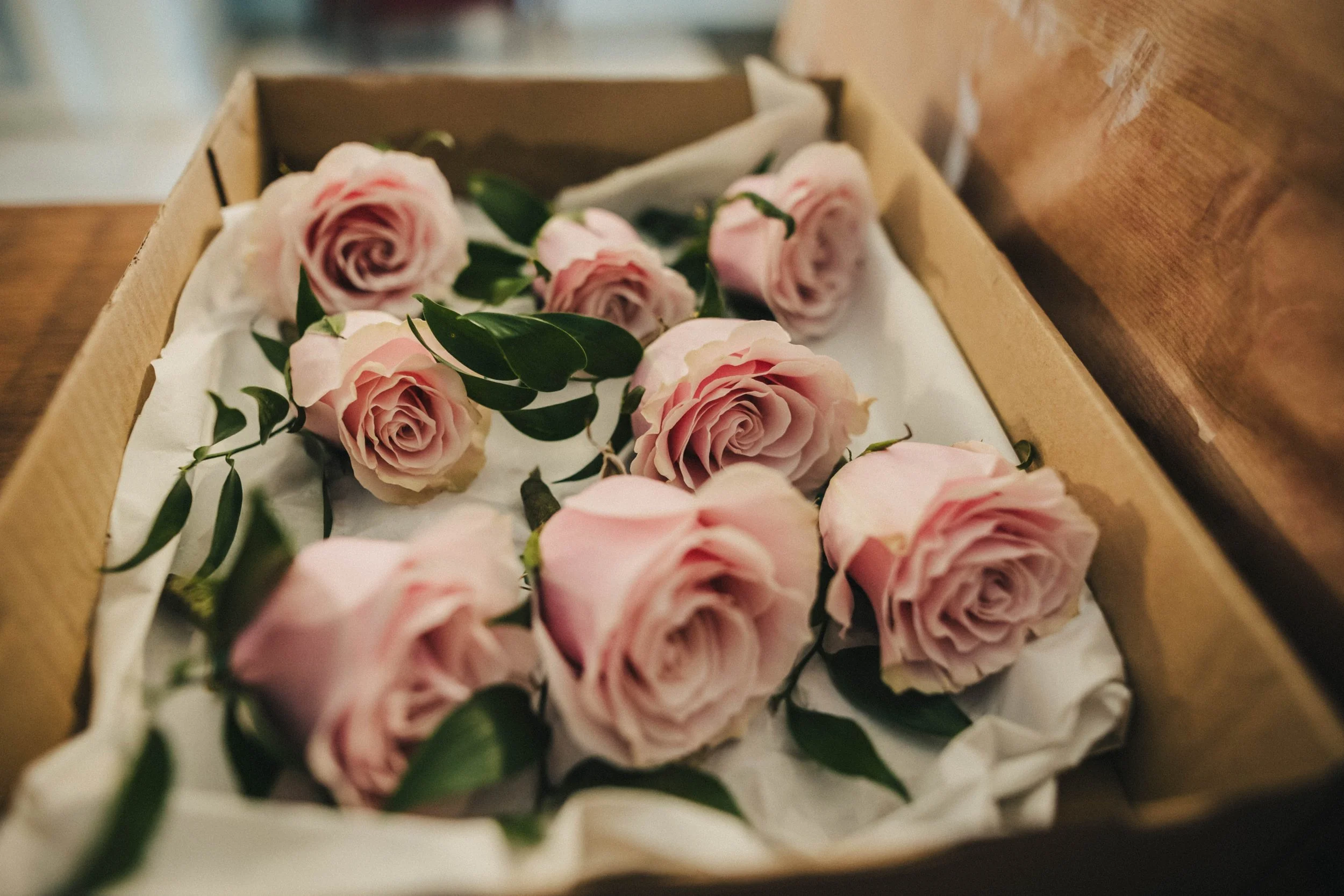 Ellie+&+Michael+previews+(Claire+Penn+Photography)-004.jpg