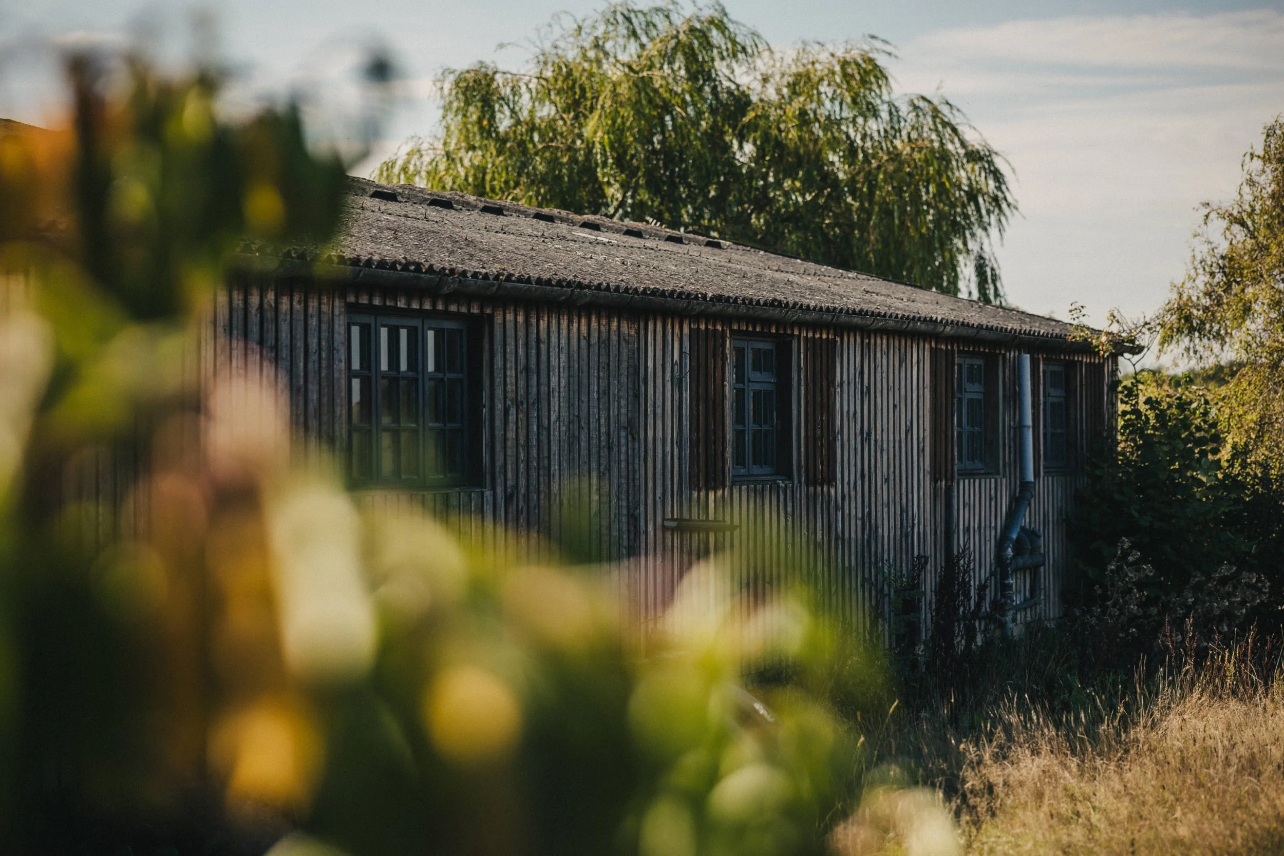 High+Billinghurst+Farm+wedding-003.jpg
