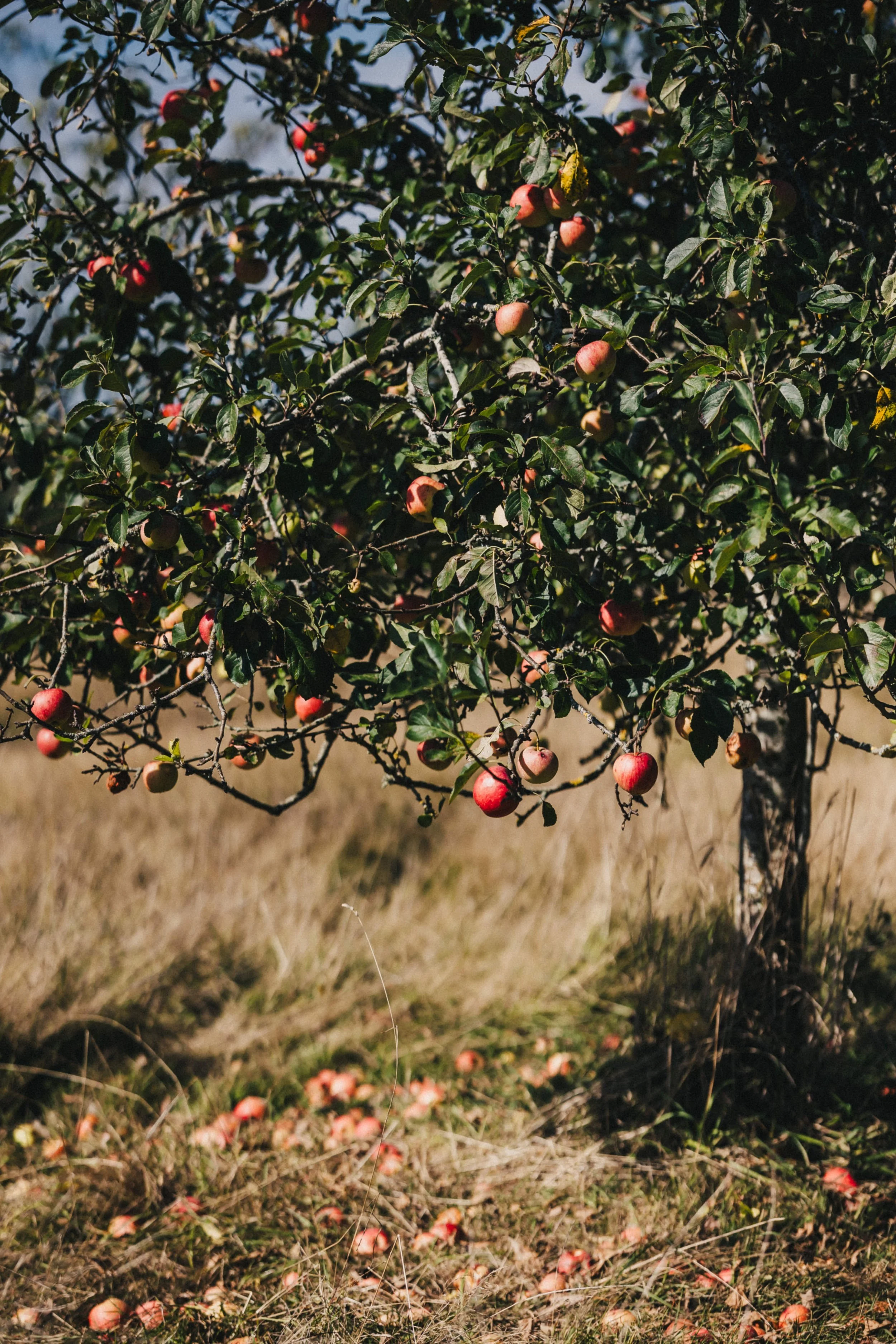 High+Billinghurst+Farm+wedding-004.jpg
