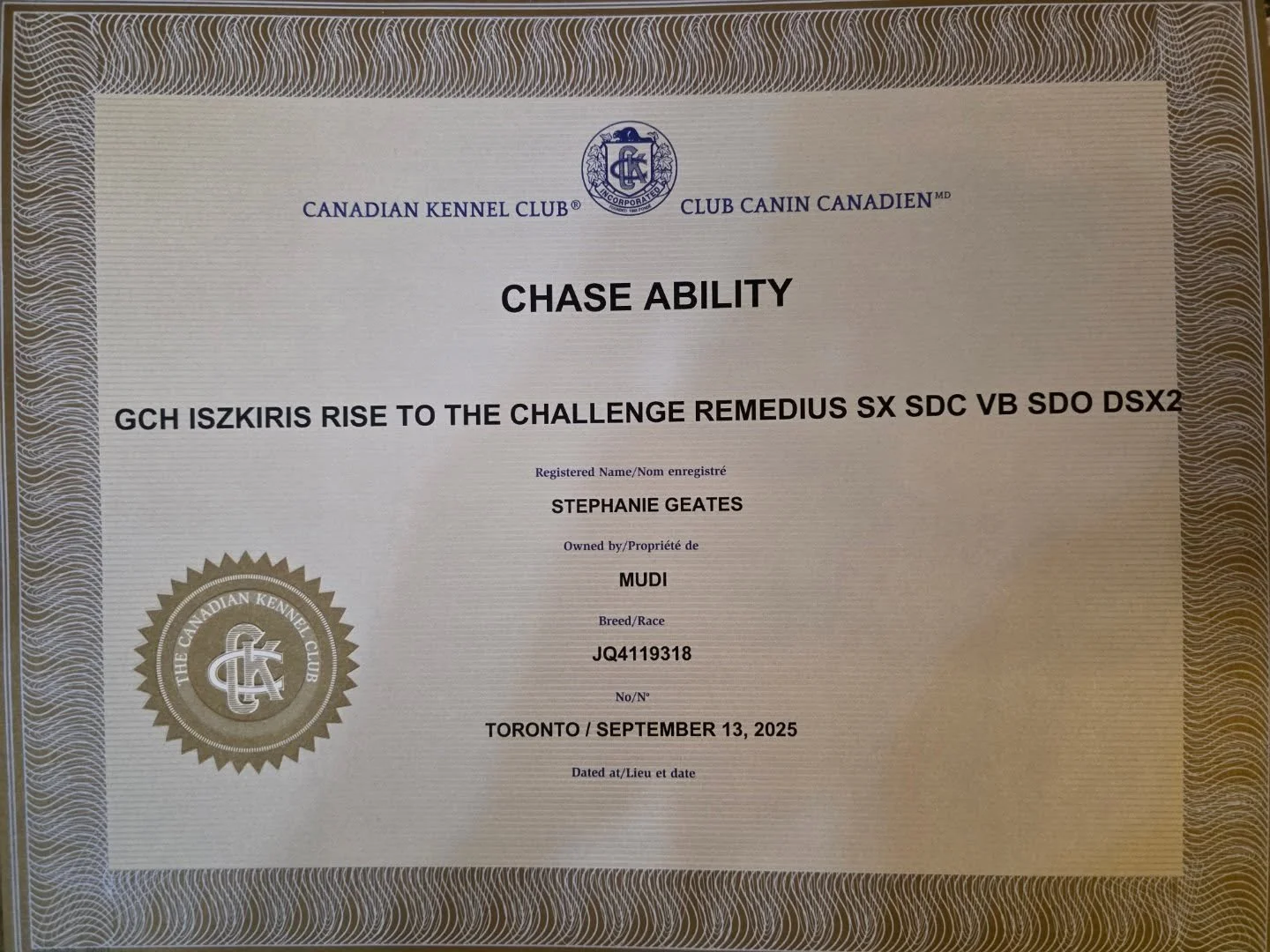 Remy got Mail!

We got our official CKC Title Certificates! Remy earned his Chase Ability ✨️CA✨️ and Sprinter Excellent 2 ✨️SX2✨️ back in September.

#remythemudi #tinybutmighty #aspiremudikennel #iszkirimudikennel #foothillsgazehoundclub