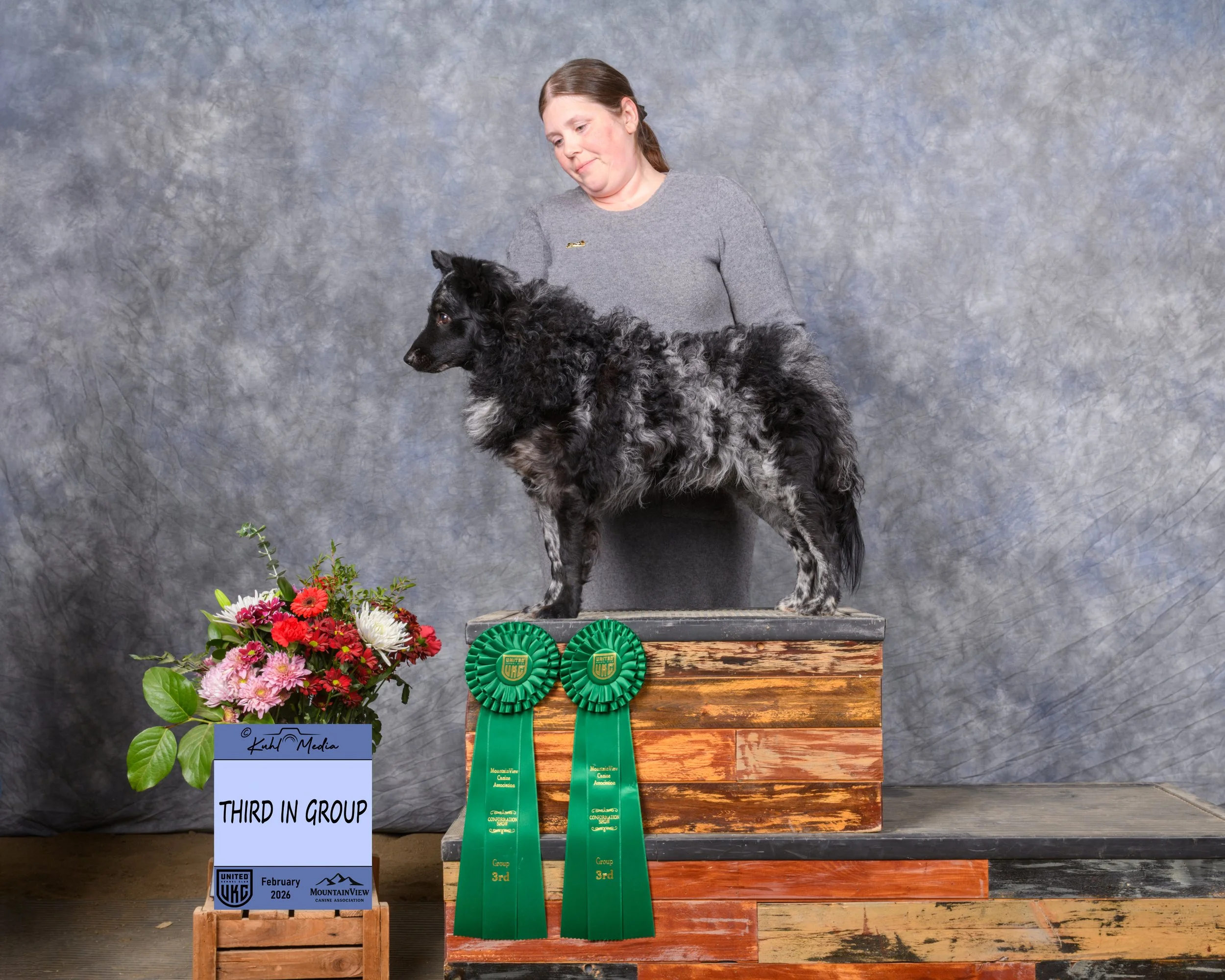 Remy 2x Group 3
MountainView Canine Association UKC Show Feb 2026 Photo Credit Kuhl Media