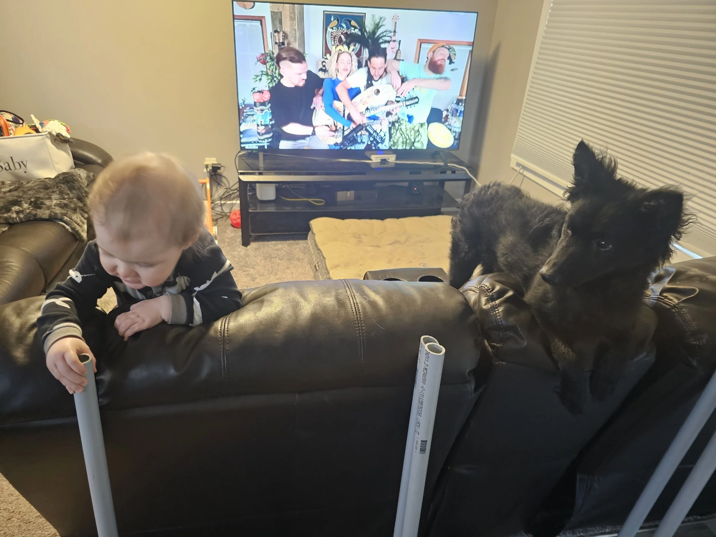 She copied him