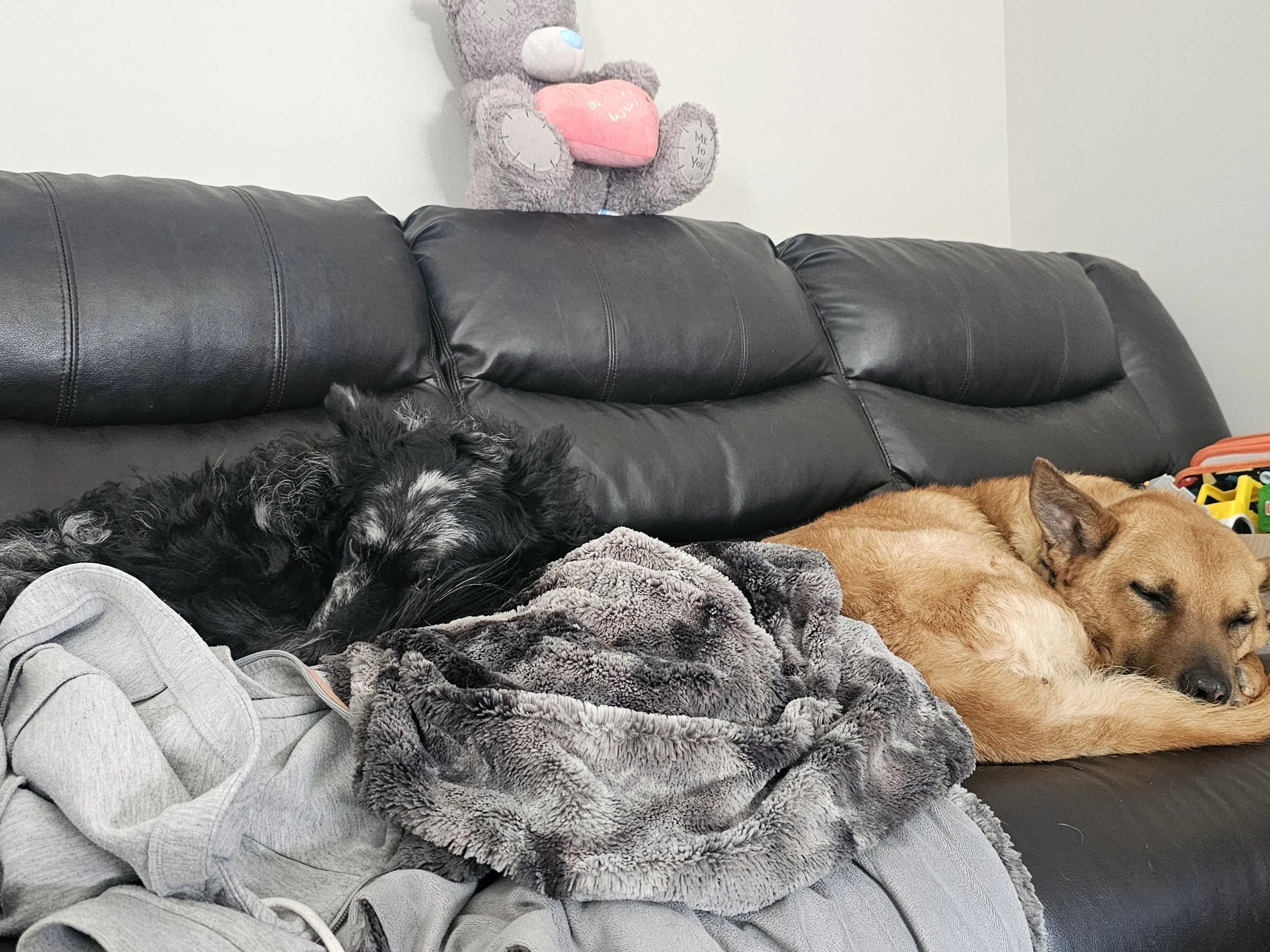 nappy nap
