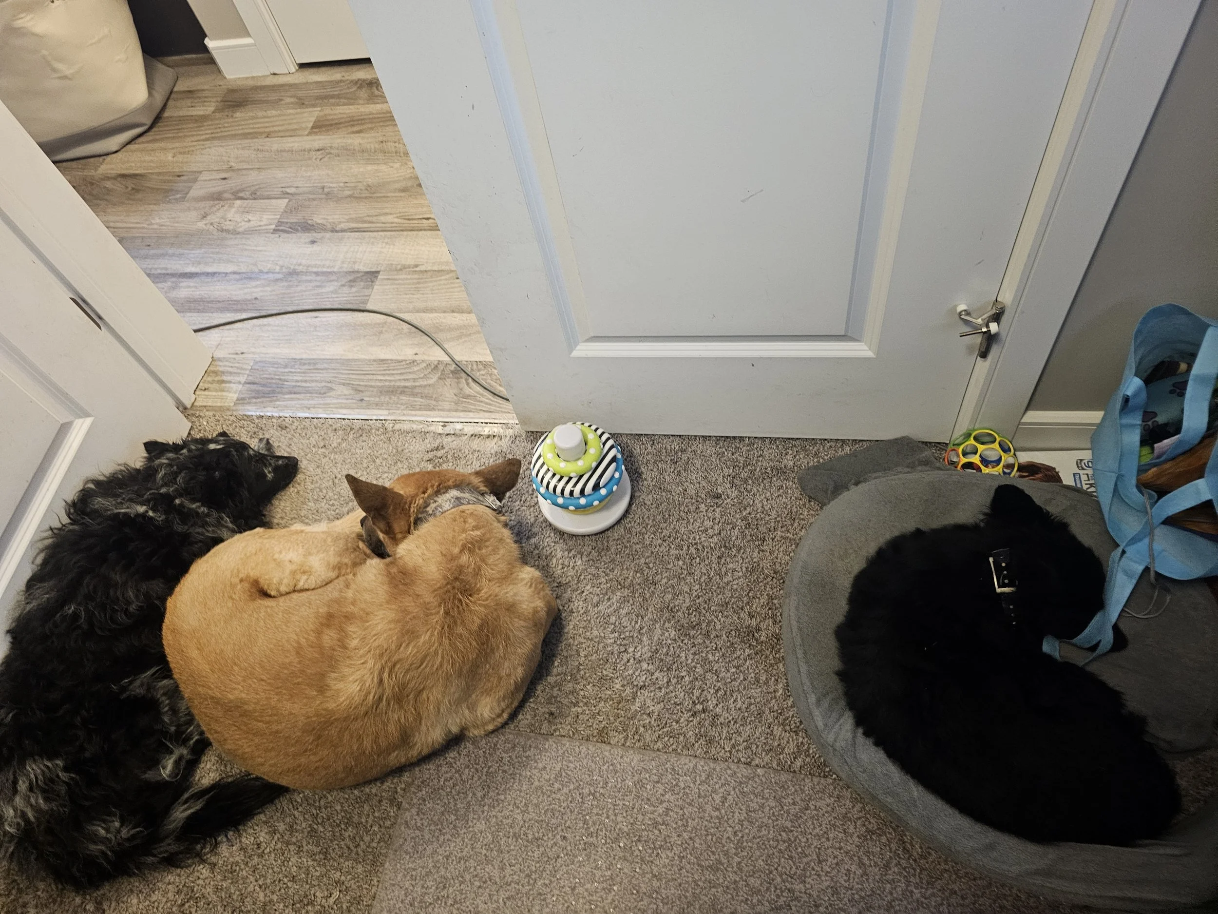 Snooze time!