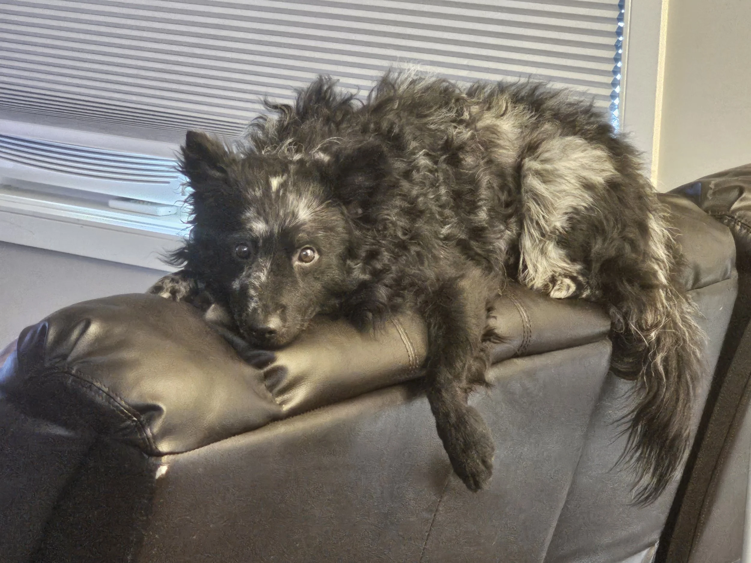 Lounging around