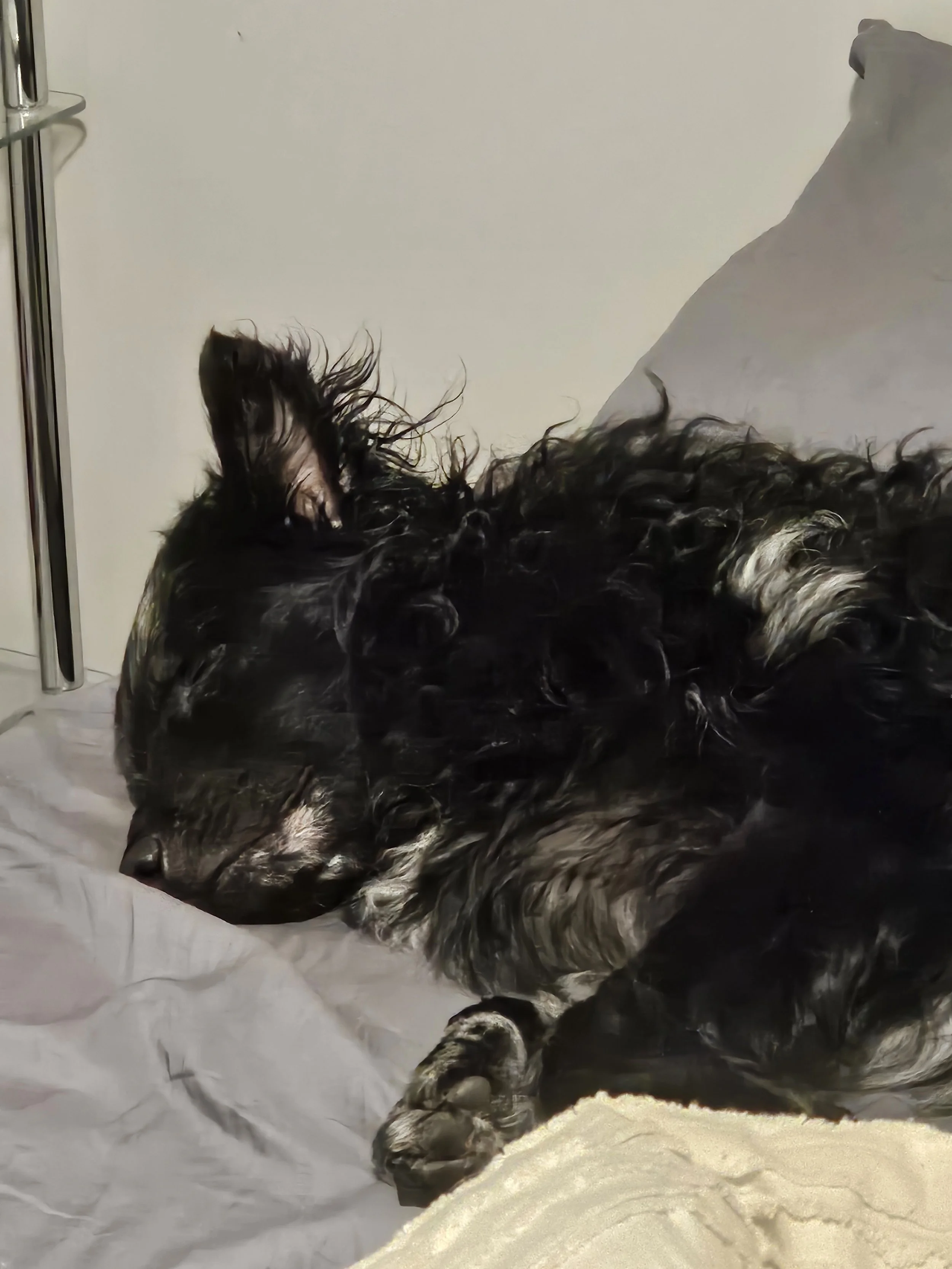 Somebody's been sleeping in my bed!
