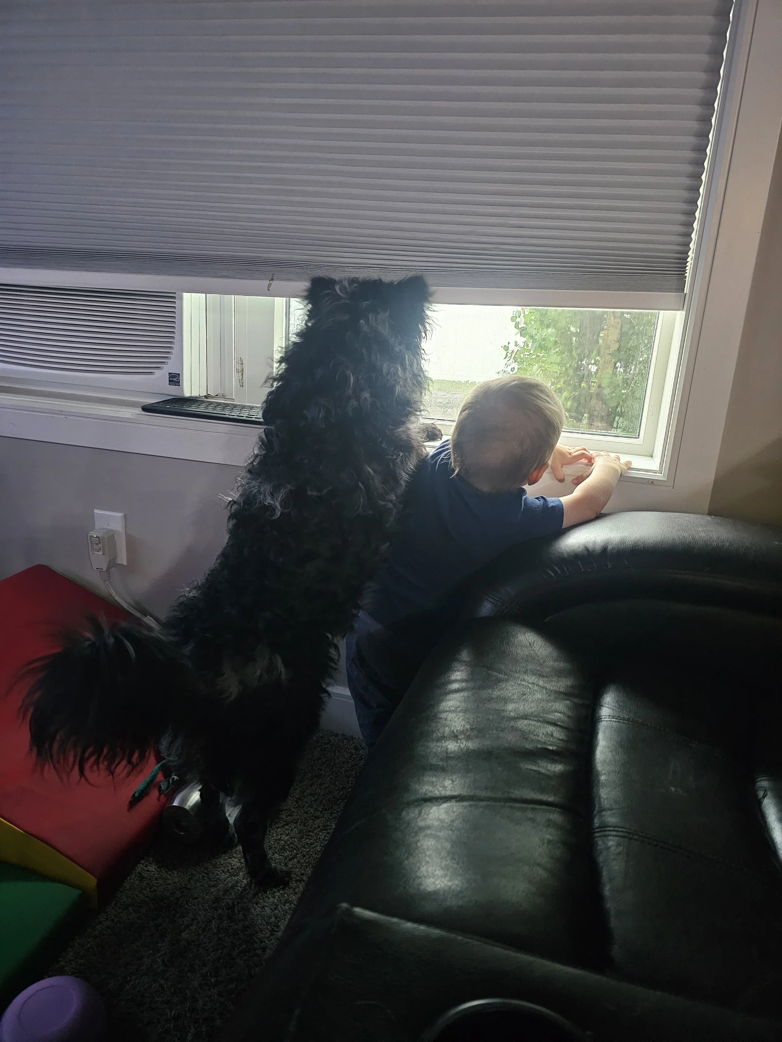 What's out the window?