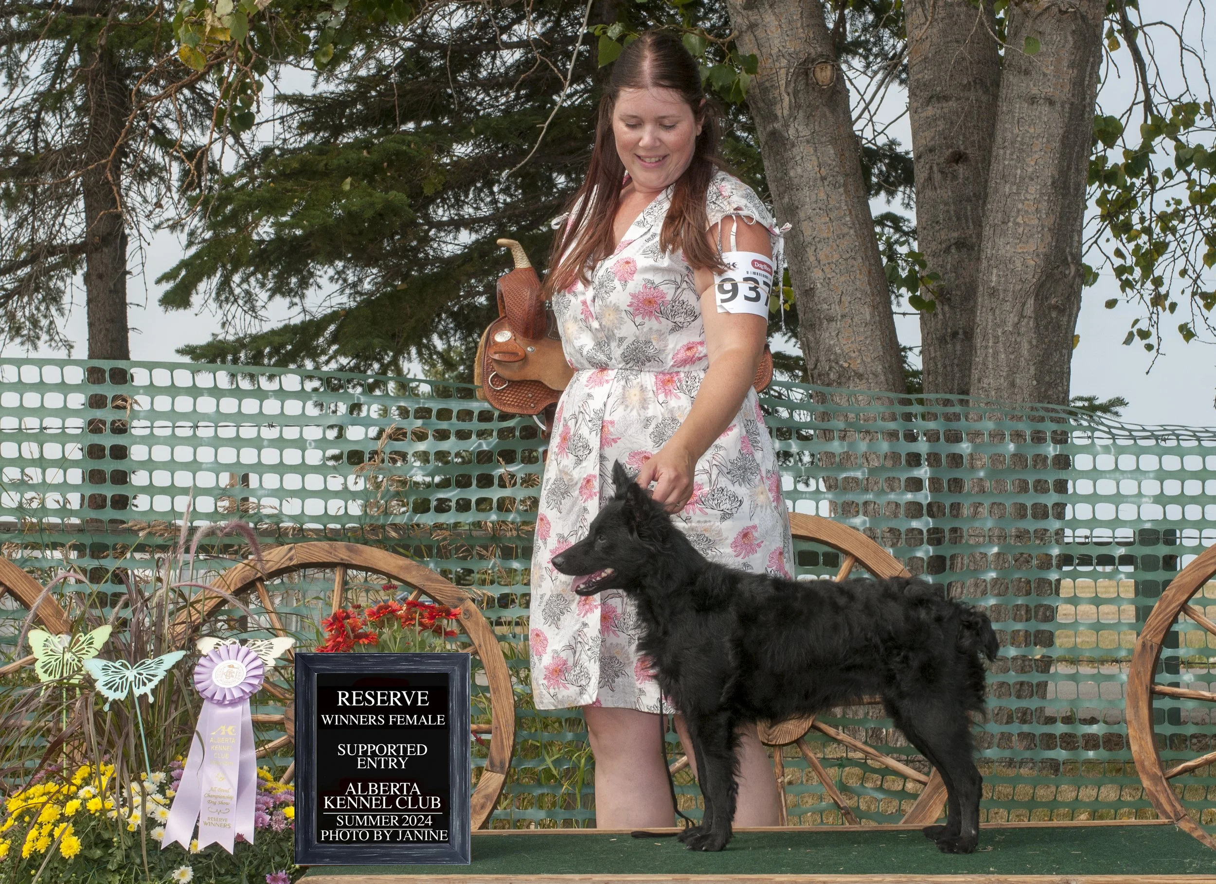 _AKC9247.jpg