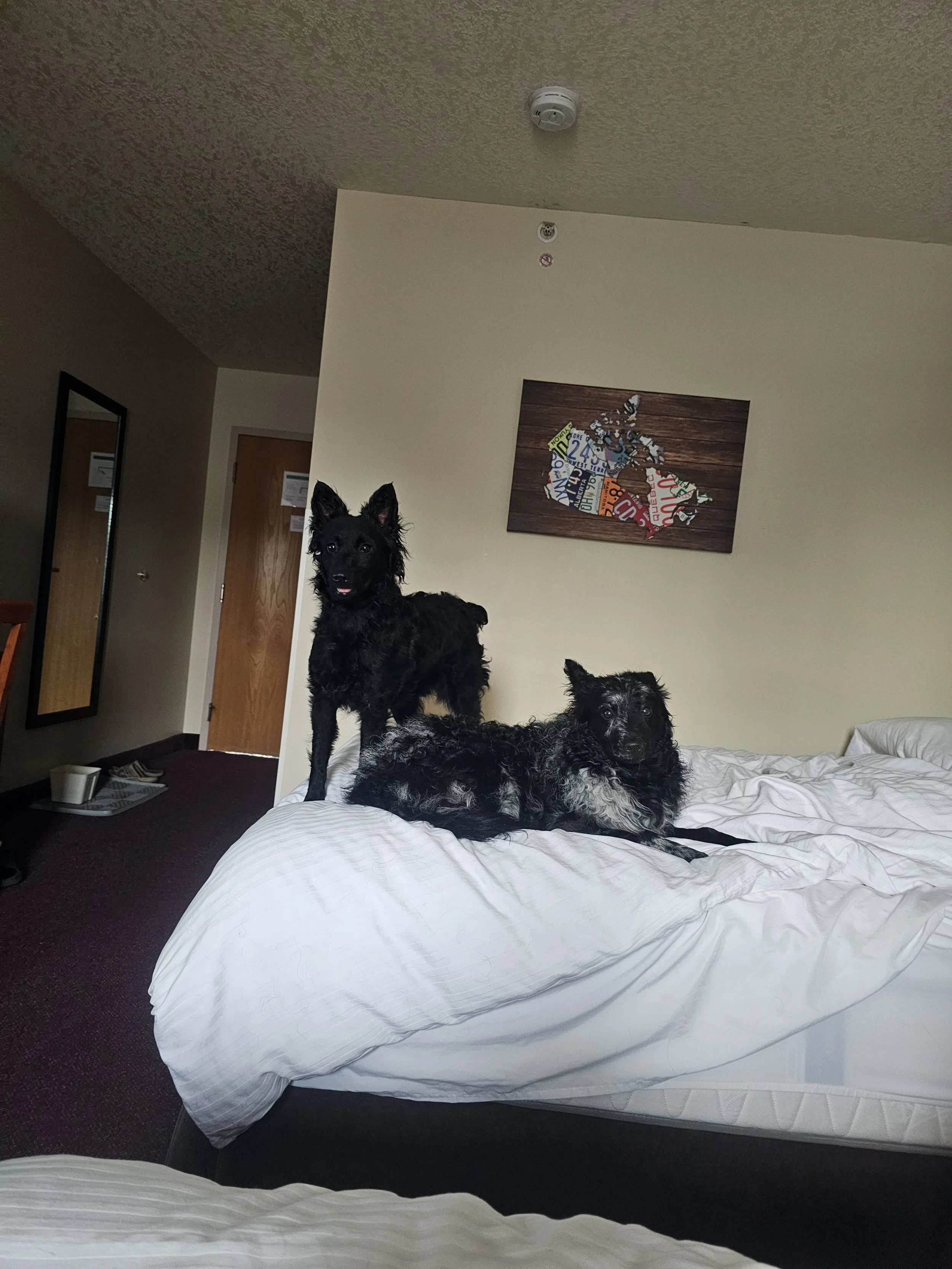 20240803_195715.jpg
