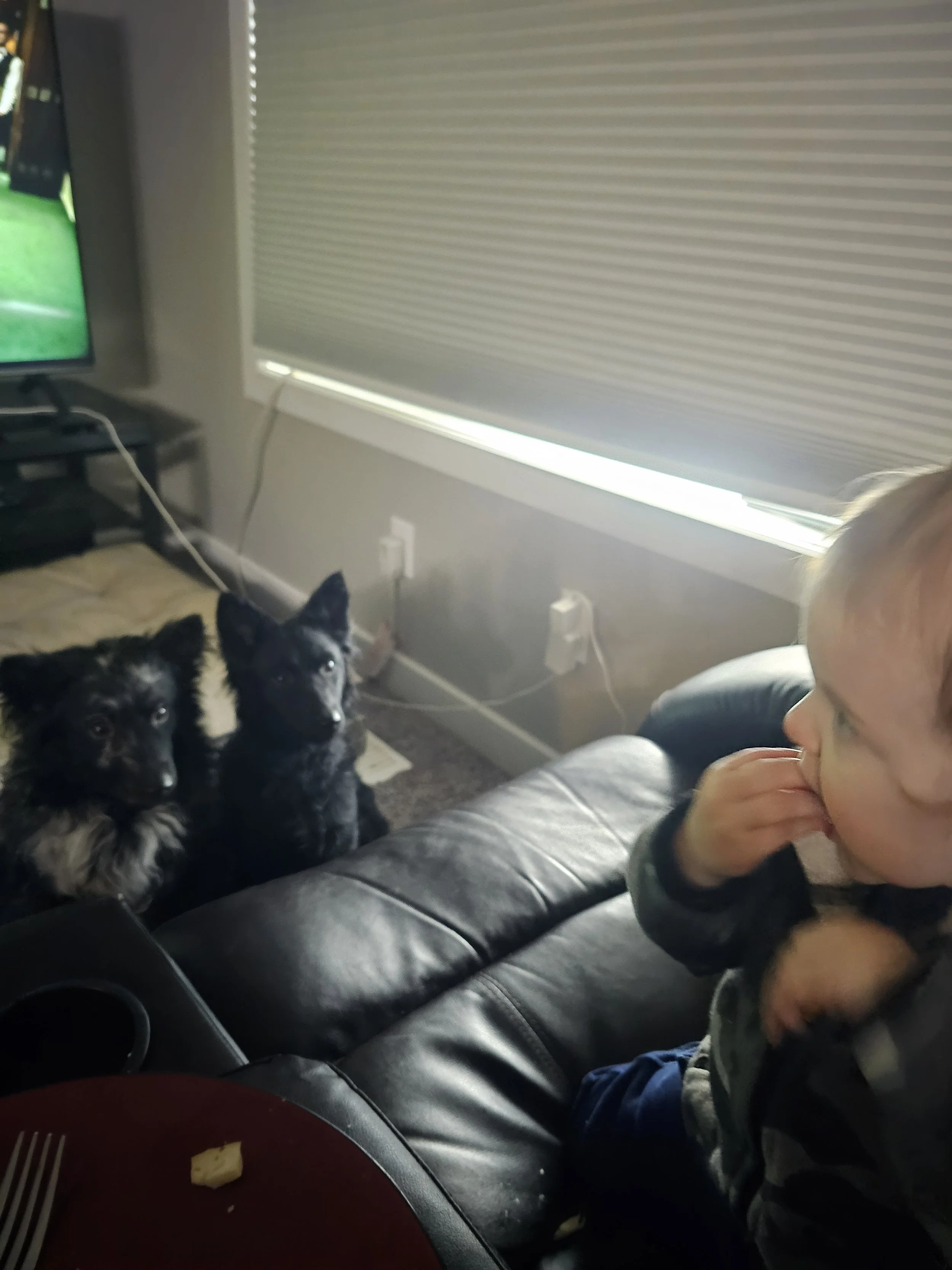 Maybe if we're good he'll share?
