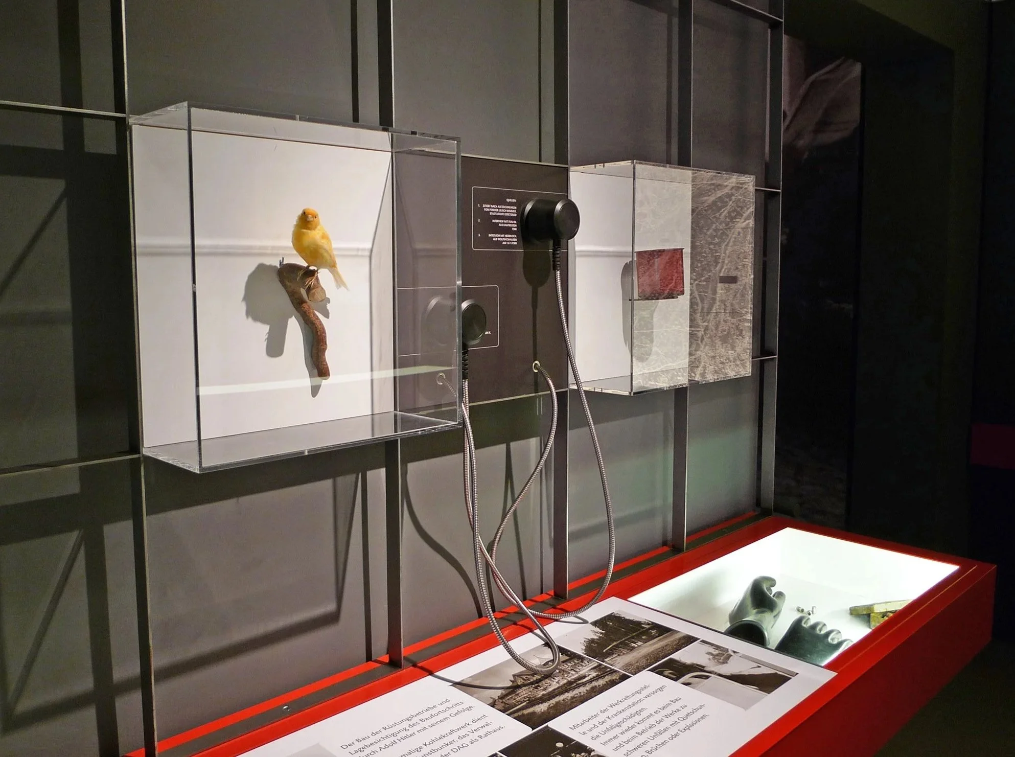 Ausstellung mit Vitrine und Kunstwerken, vier schwarze Brauseschlauch-Hände, eine Tastenbox, Fotografien und Texttafeln.