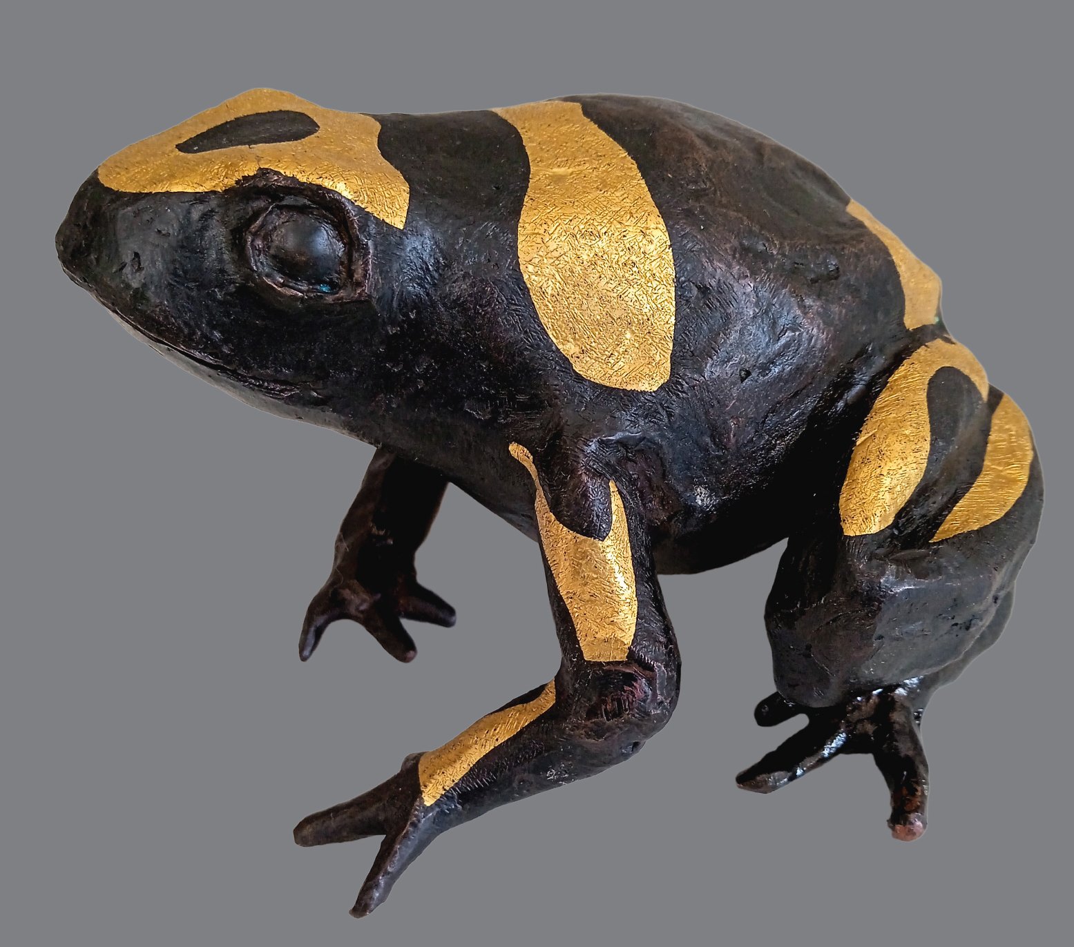 Frosch.jpg