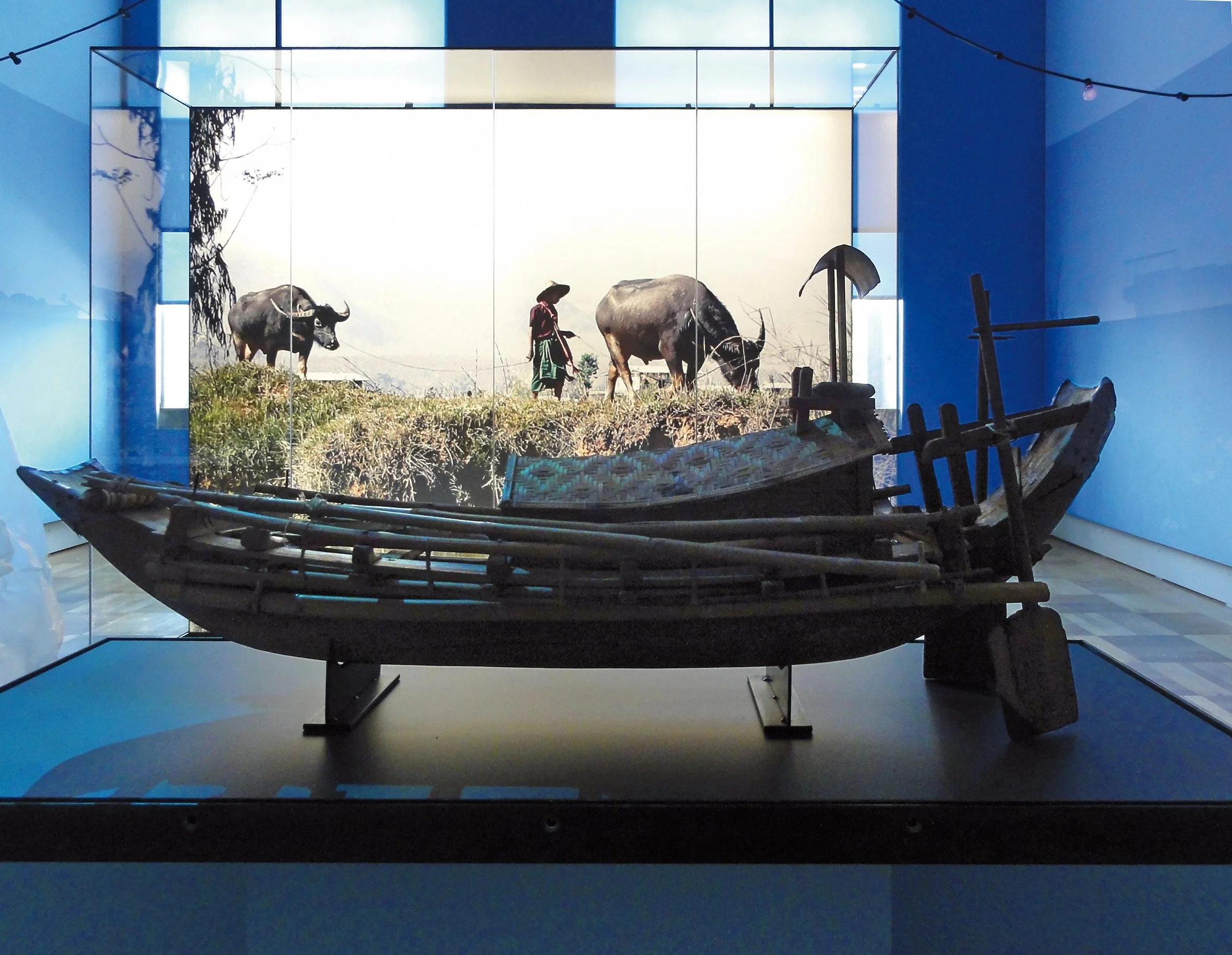 Ein Holzkahn, der in einem Museum ausgestellt ist, mit einer bemalten Abschrankung im Hintergrund, die eine ländliche Szene mit einem Hirten und Wasserbüffeln zeigt.