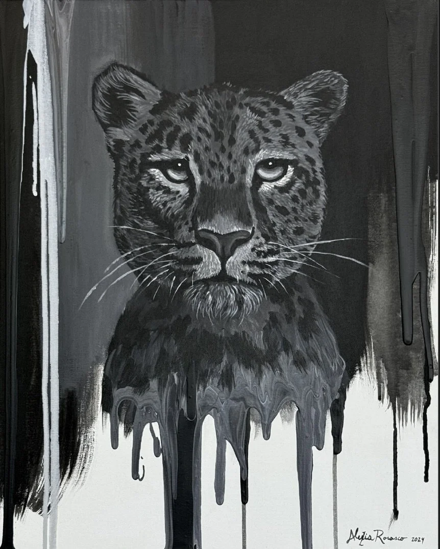 Screenshot 2024-11-04 at 12.46.20 PM.jpeg