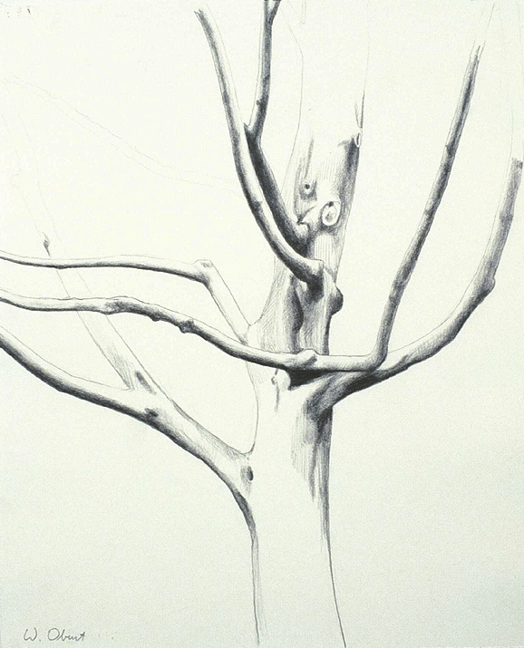 Screenshot 2025-01-08 at 10.29.42 AM.png