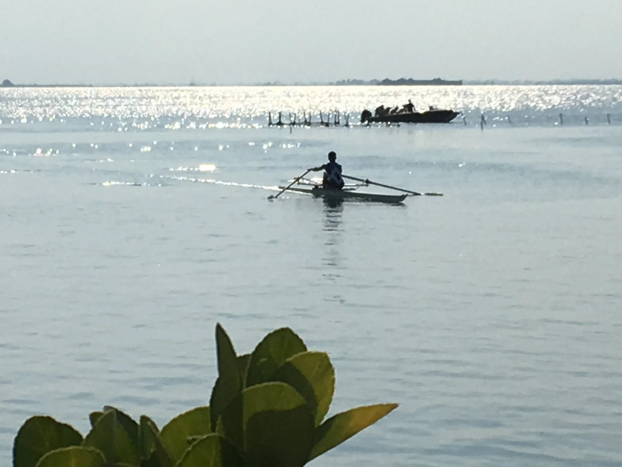 A person rowing a boat on a body of water that reflects sunlight, with an island or landmass in the distance. Lake or ocean scene during daylight with some plants in the foreground.