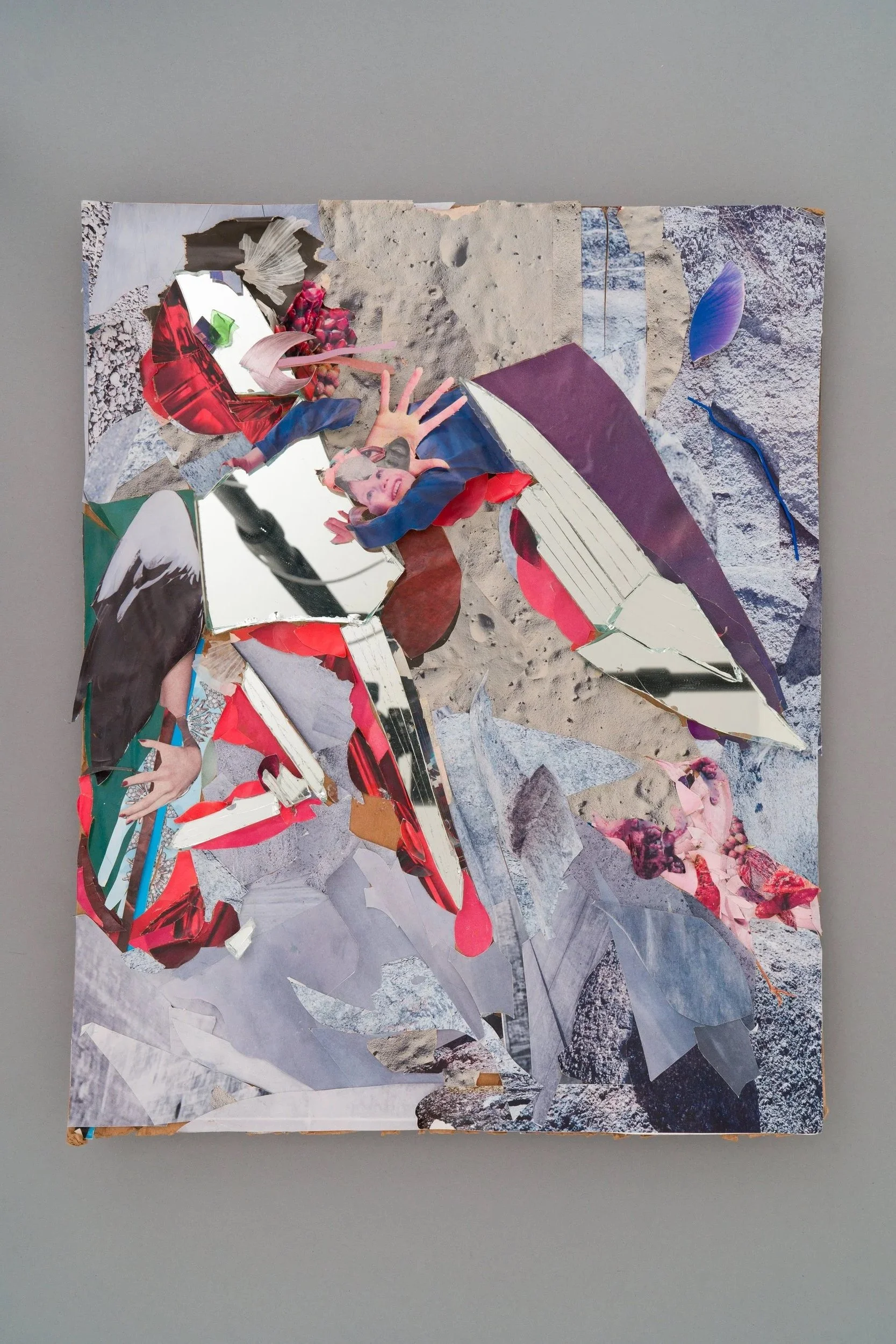 DEAD PIGEON  ·  paper, mirror, wood, garlic peel, wire, cardboard  · 18 x 24 in