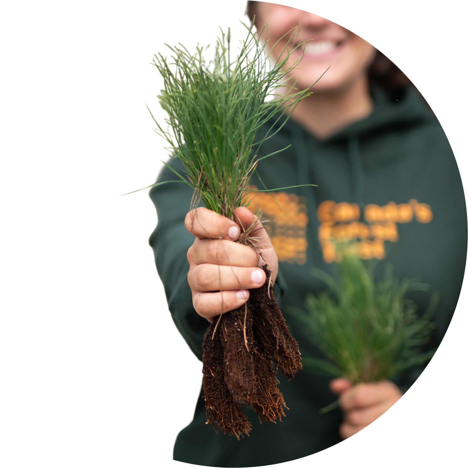 Tree-Per-Product Model