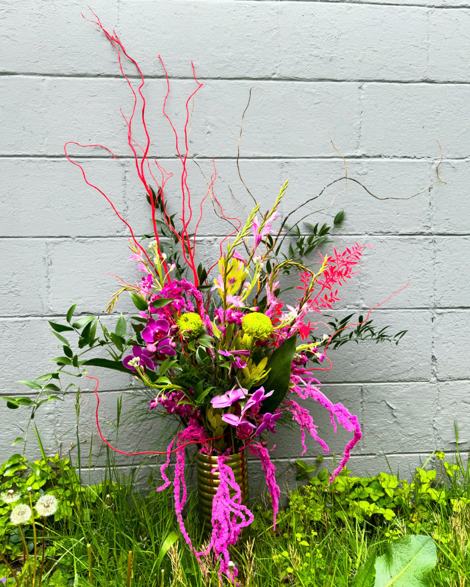 9F9FEECA-0B79-46DC-A670-88C57054667C (1).JPG