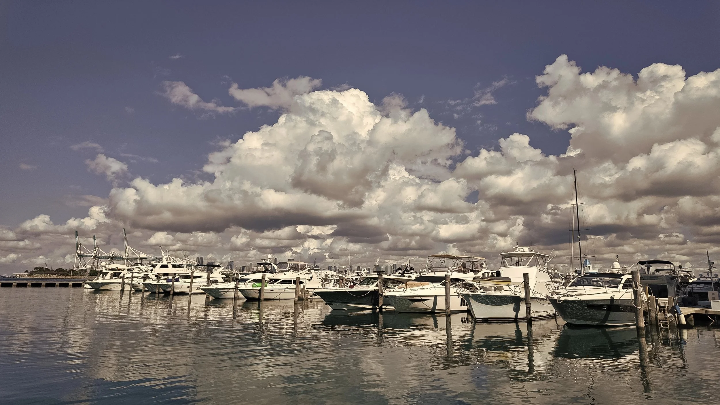 Top 5 Hidden Gems in Biscayne Bay: Explore with Grove Harbour Marina as Your Base