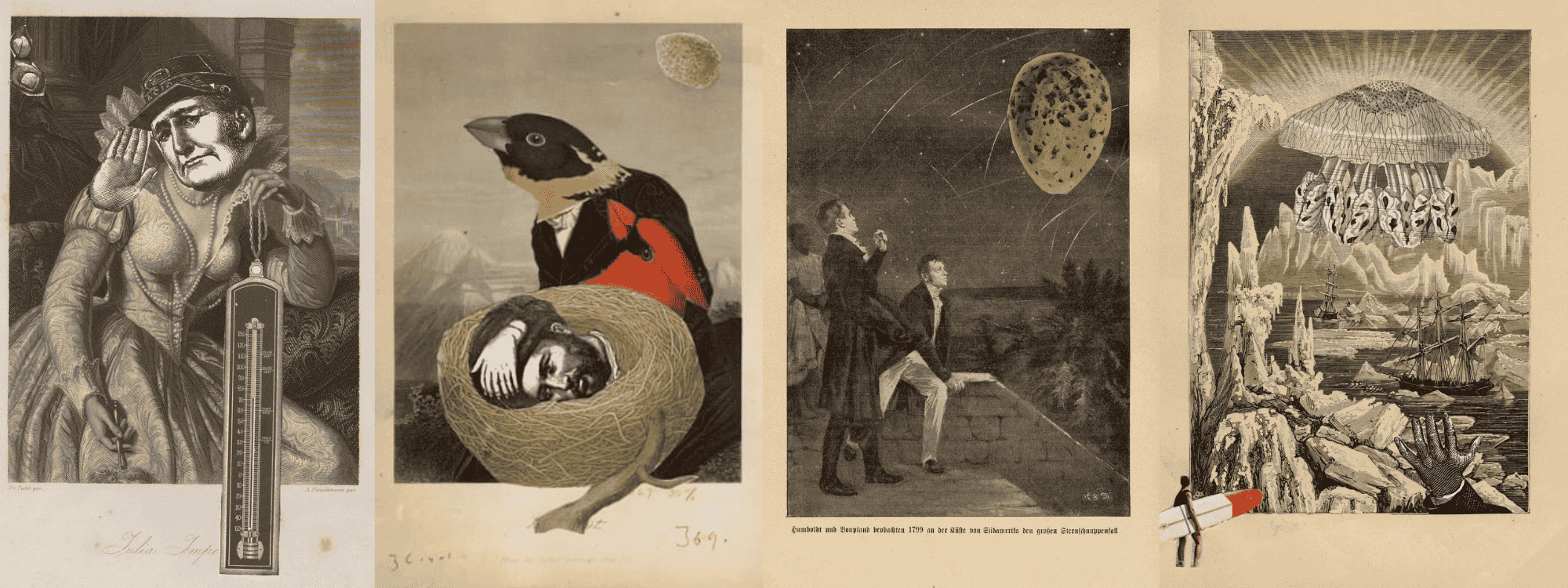 Black Square Editions | Unique Literary Works & Translations